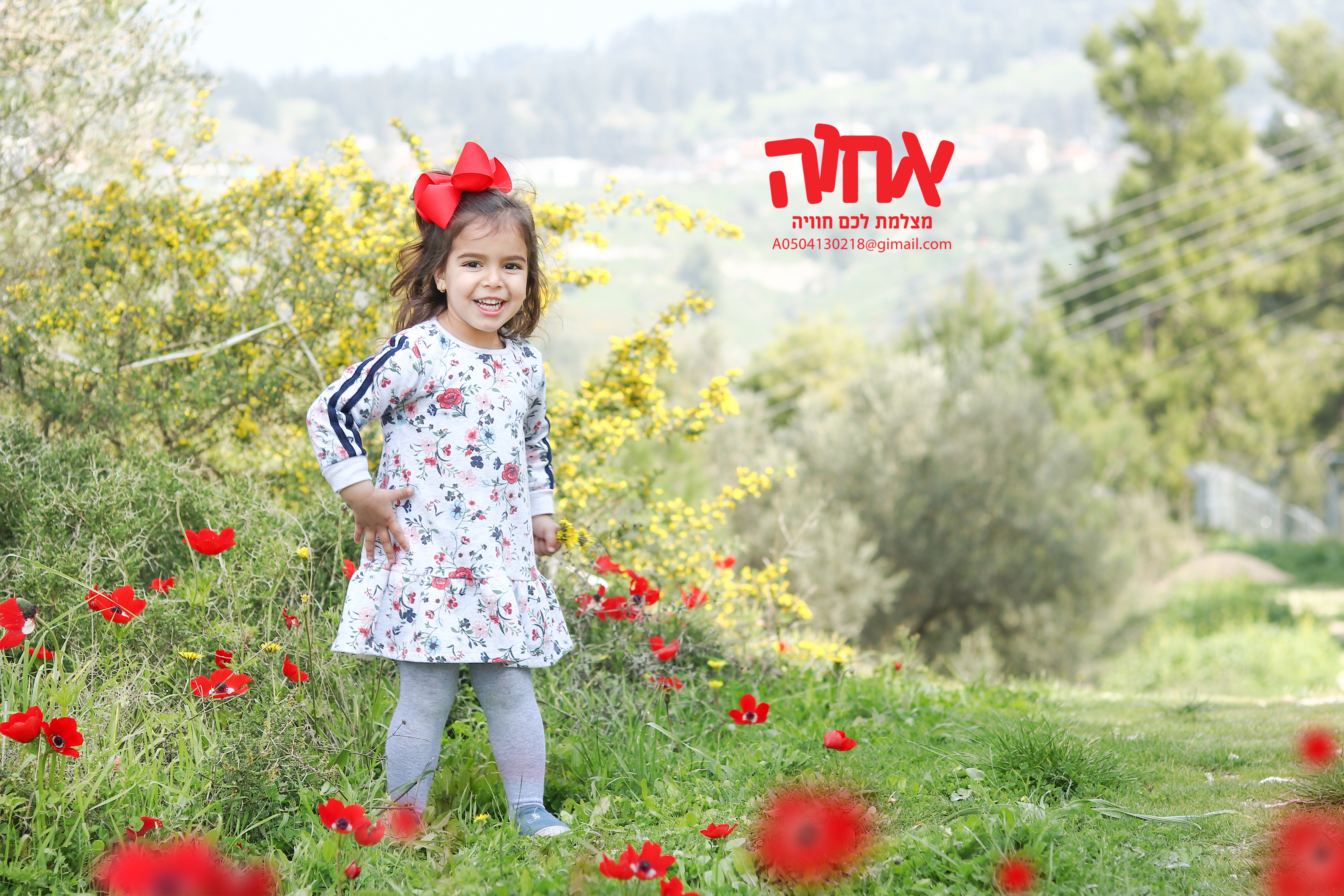 0504130218כלניות 4.jpg