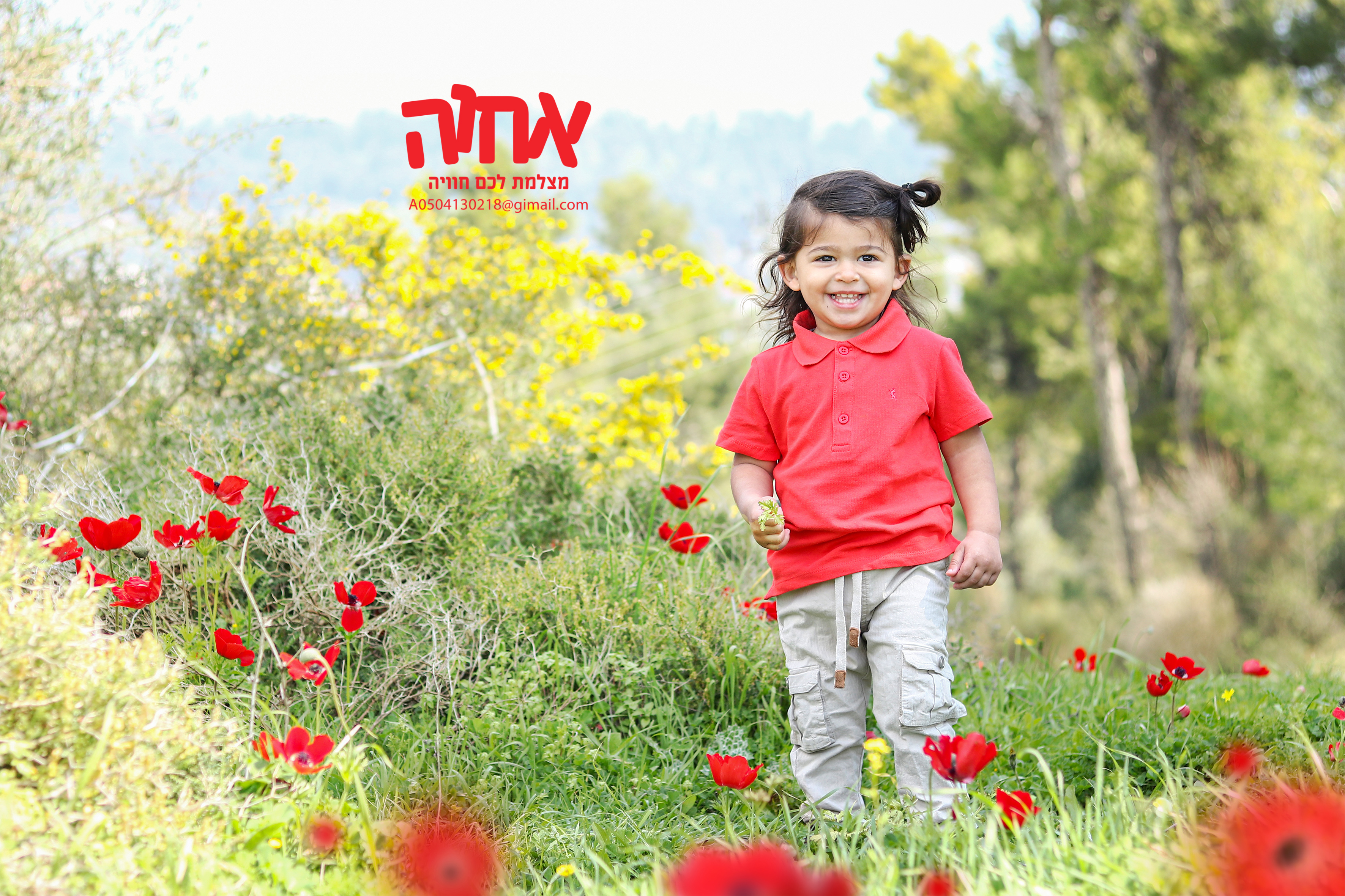 0504130218כלניות 5.jpg