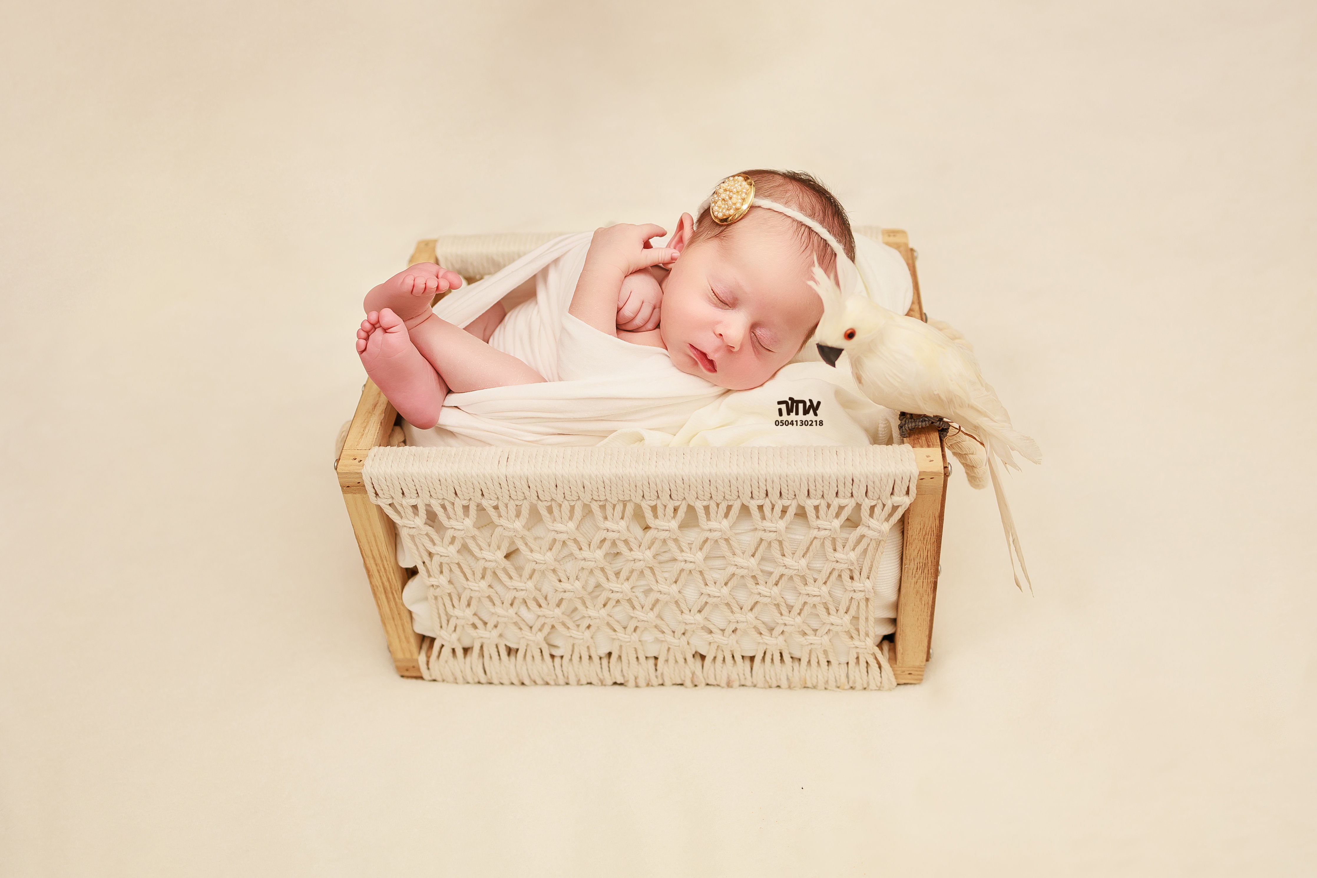 0504130218 אחוה פלוטקין (12).jpg