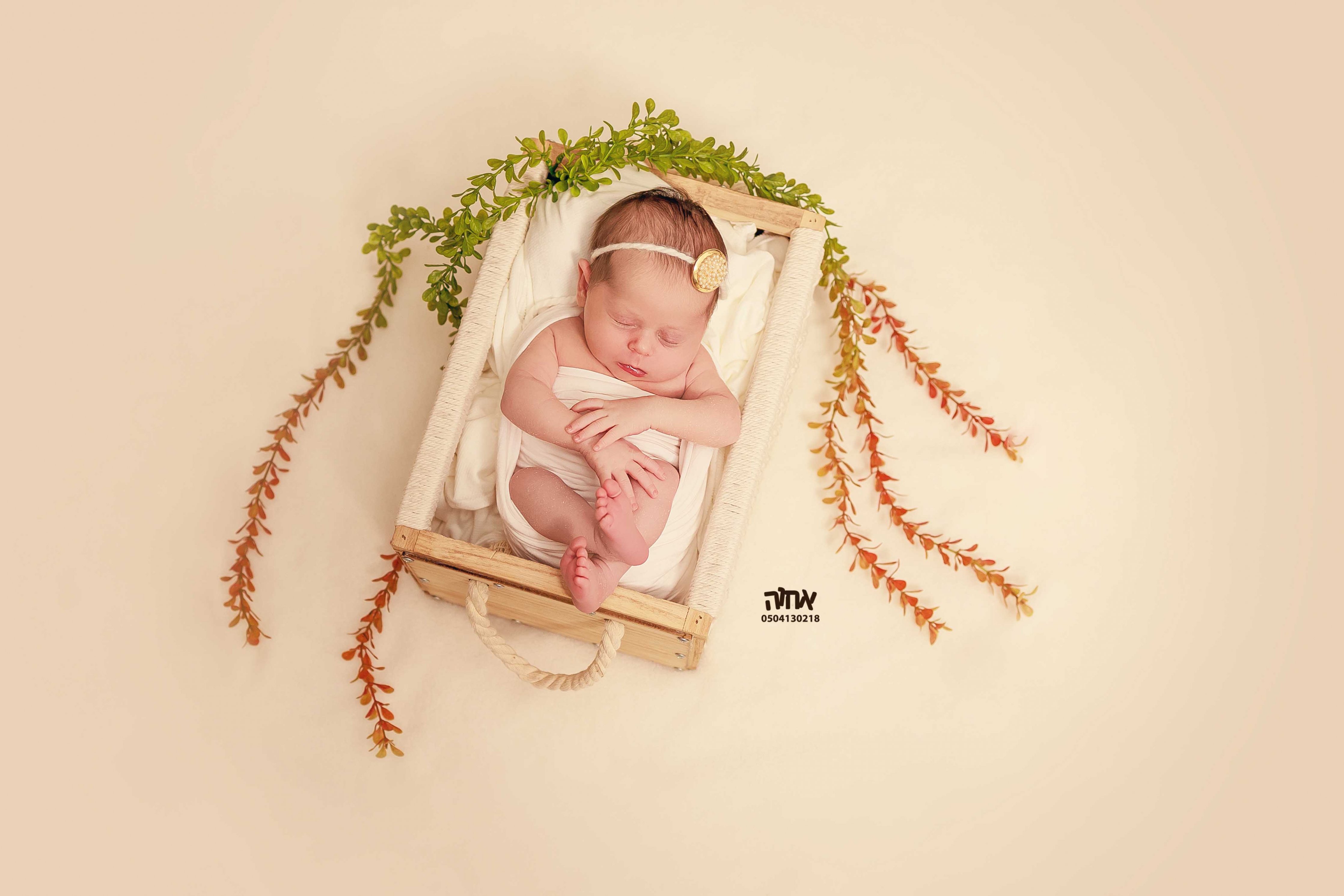 0504130218 אחוה פלוטקין (13).jpg