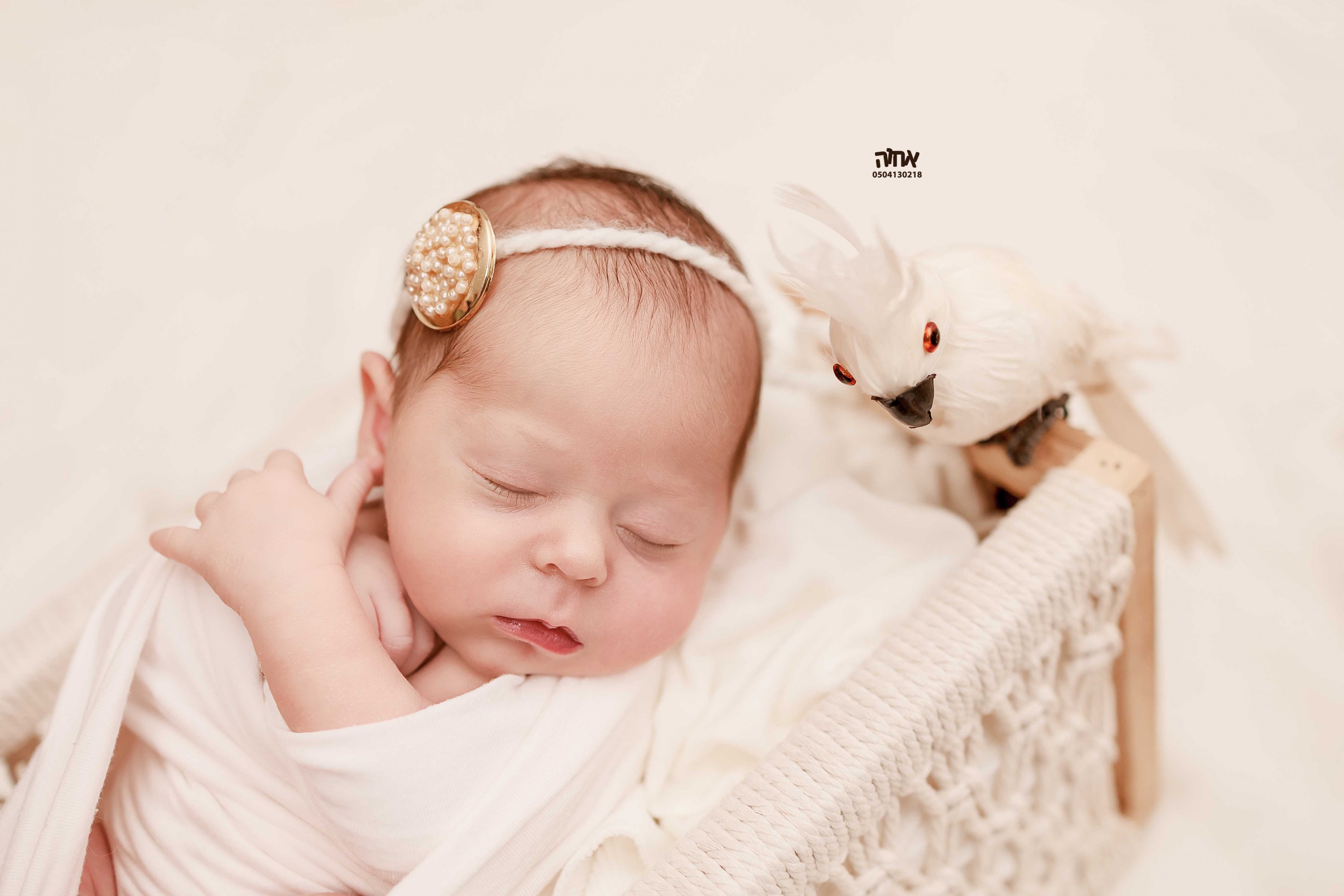 0504130218 אחוה פלוטקין (14).jpg