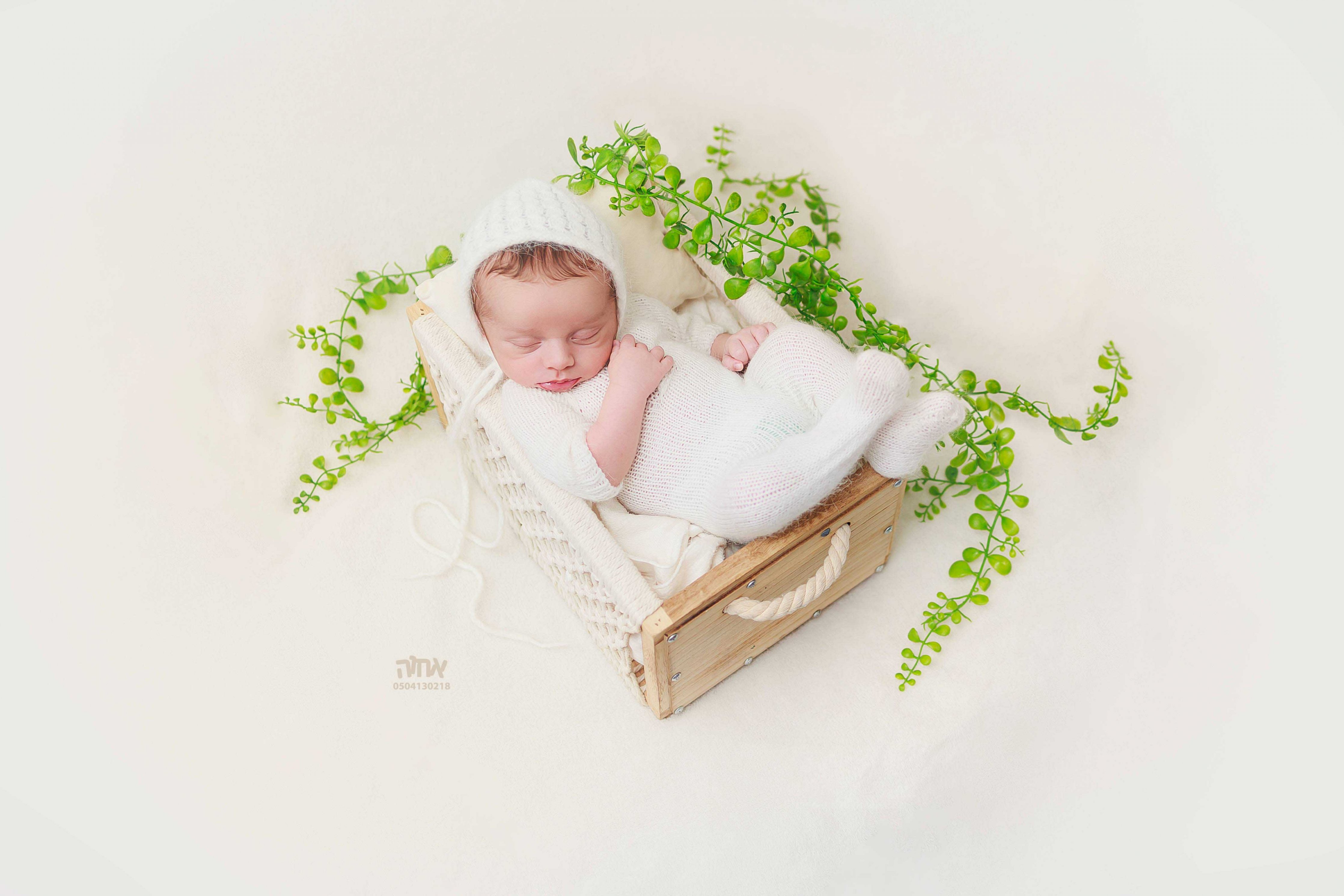 0504130218 אחוה פלוטקין (22).jpg