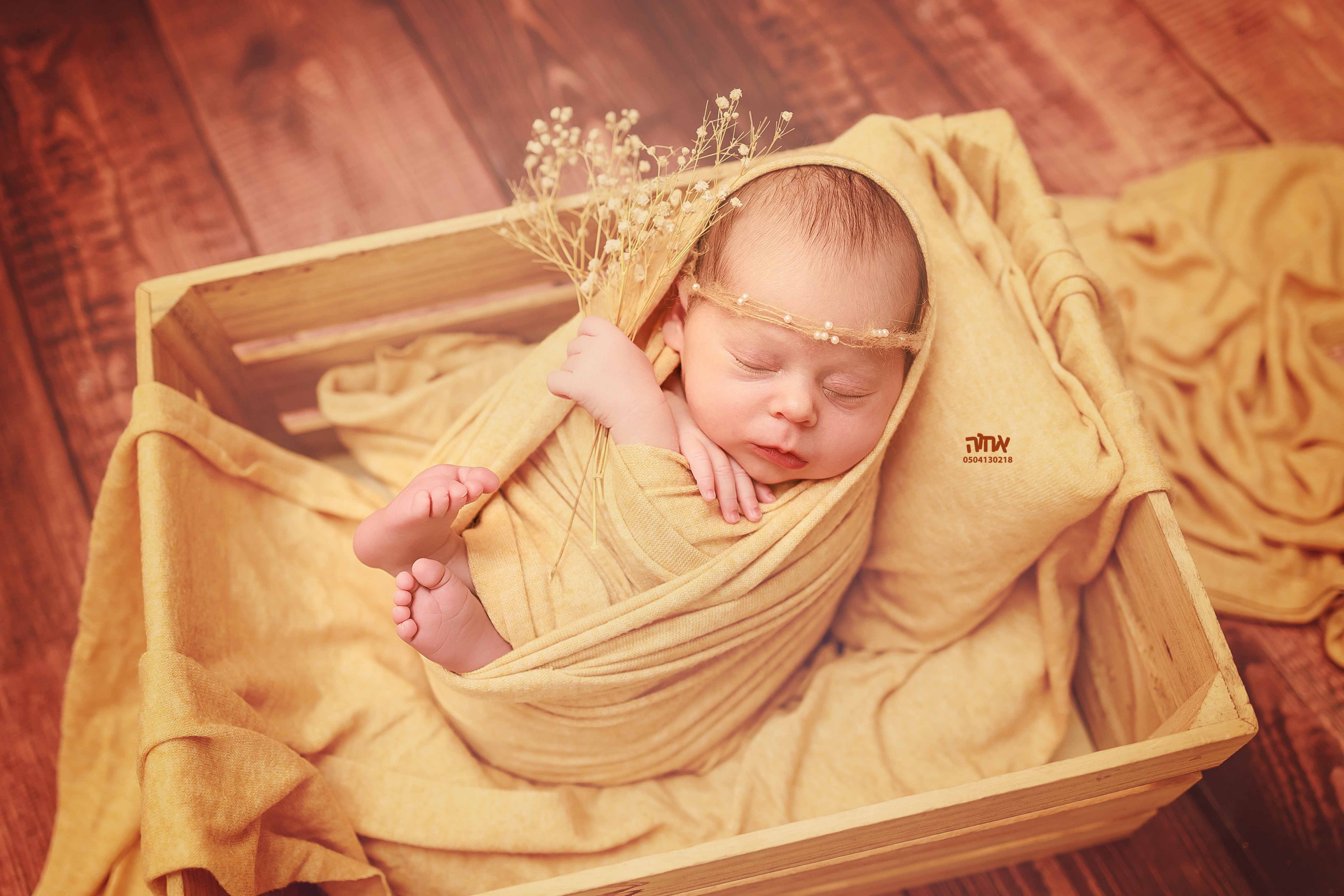 0504130218 אחוה פלוטקין (9).jpg