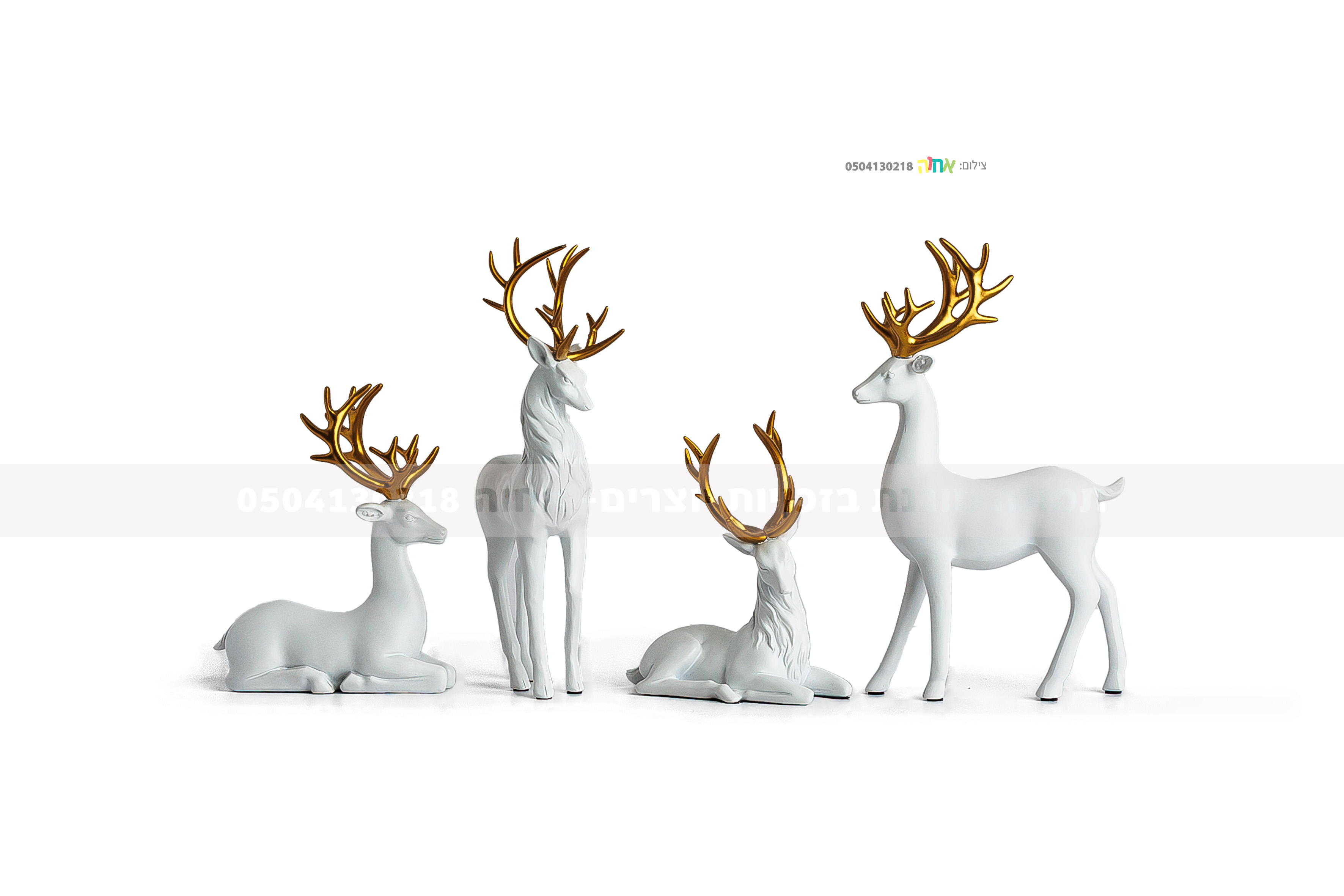 0504130218 אחוה פלוטקין