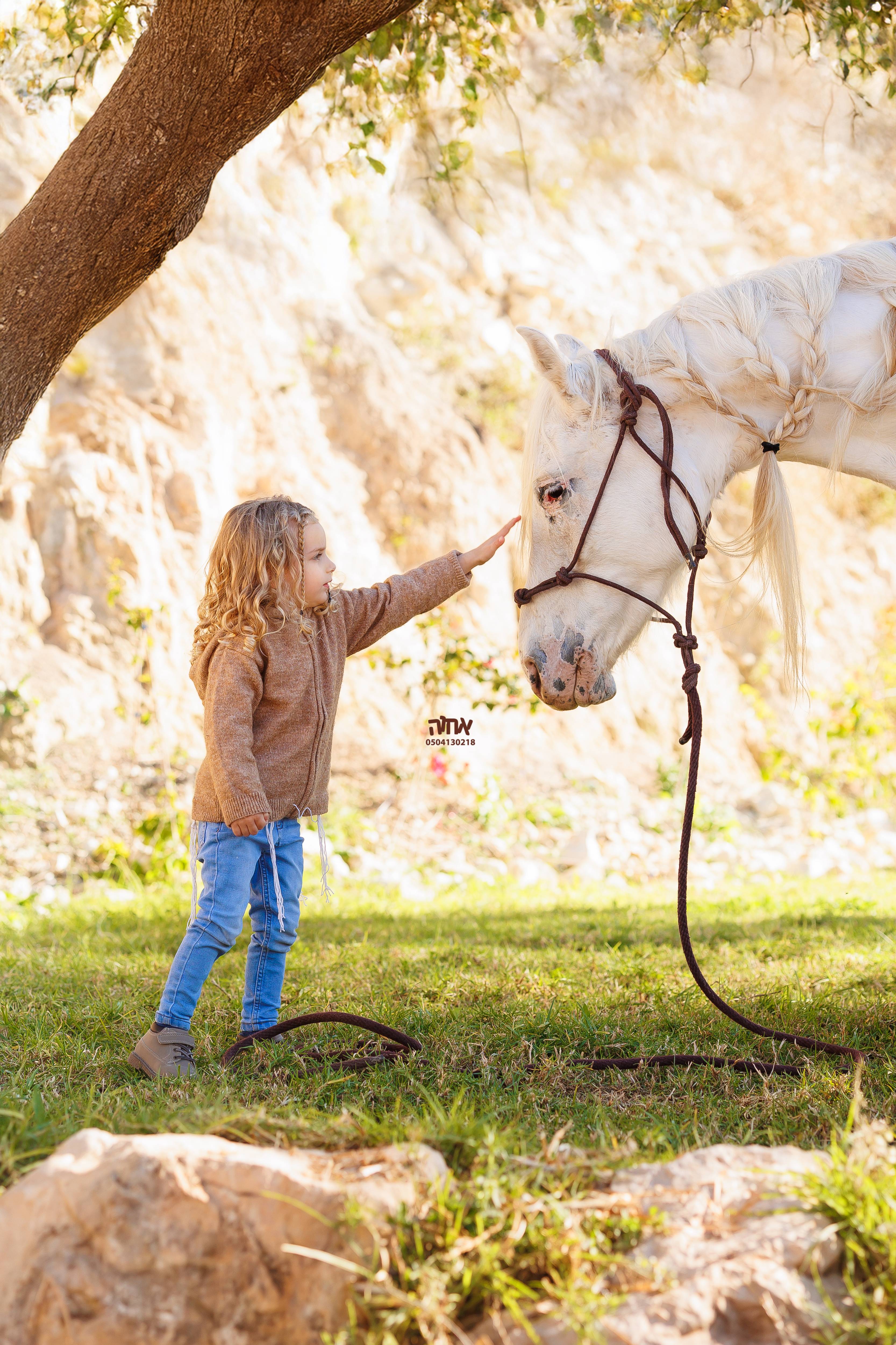 0504130218 אחוה פלוטקין -