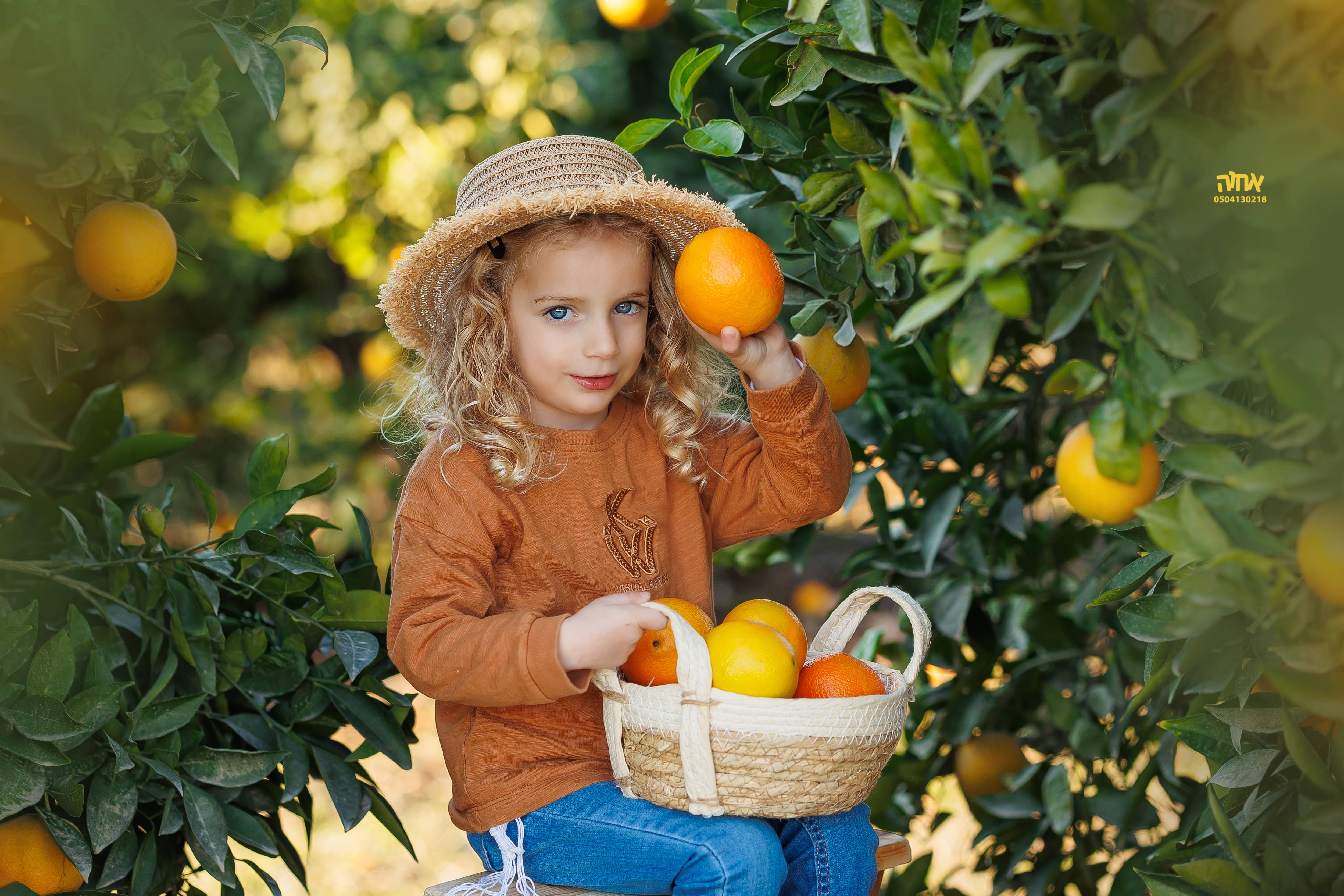 0504130218 אחוה פלוטקין -