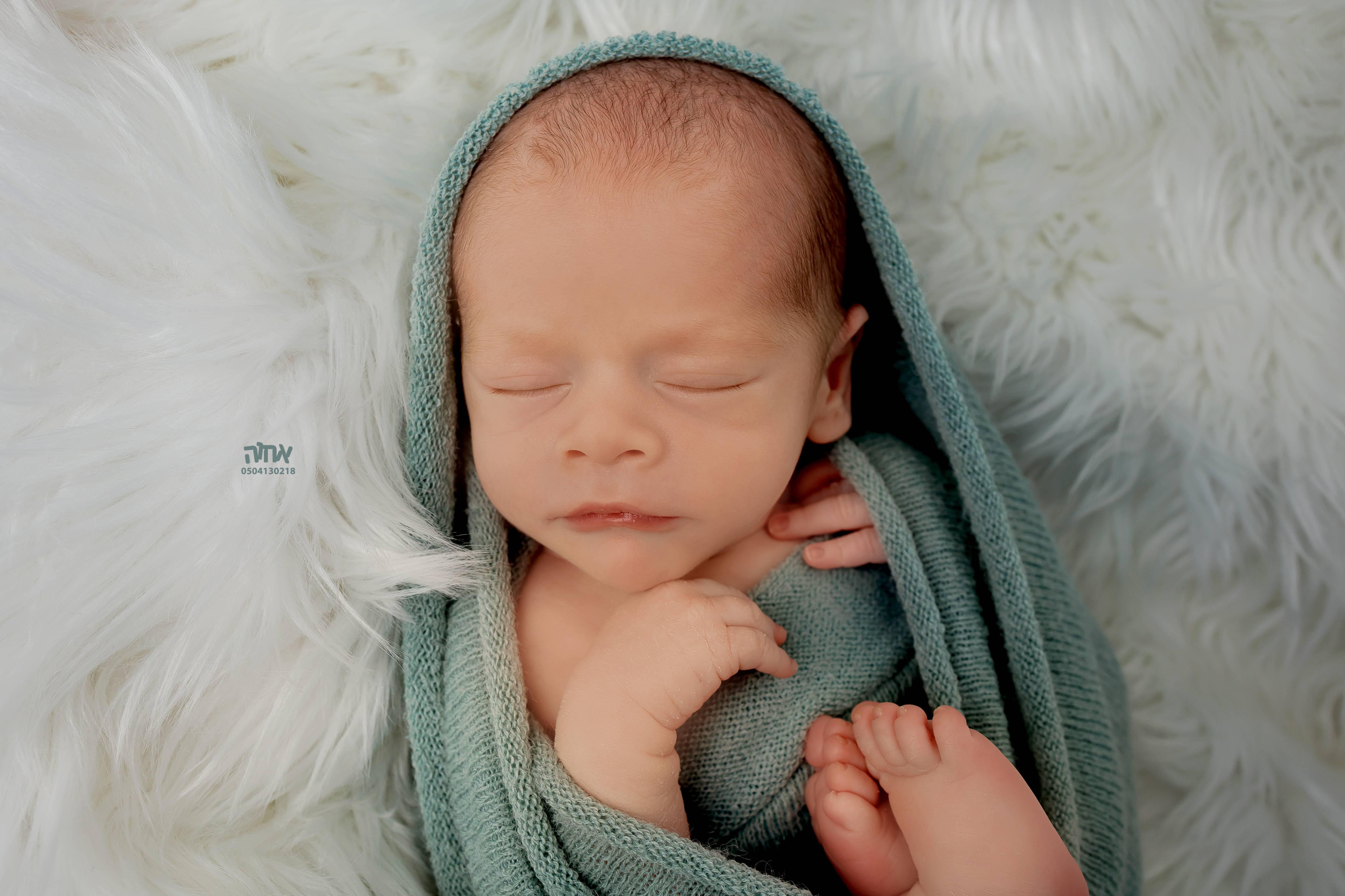 0504130218 אחו הפלוטקין (1).jpg