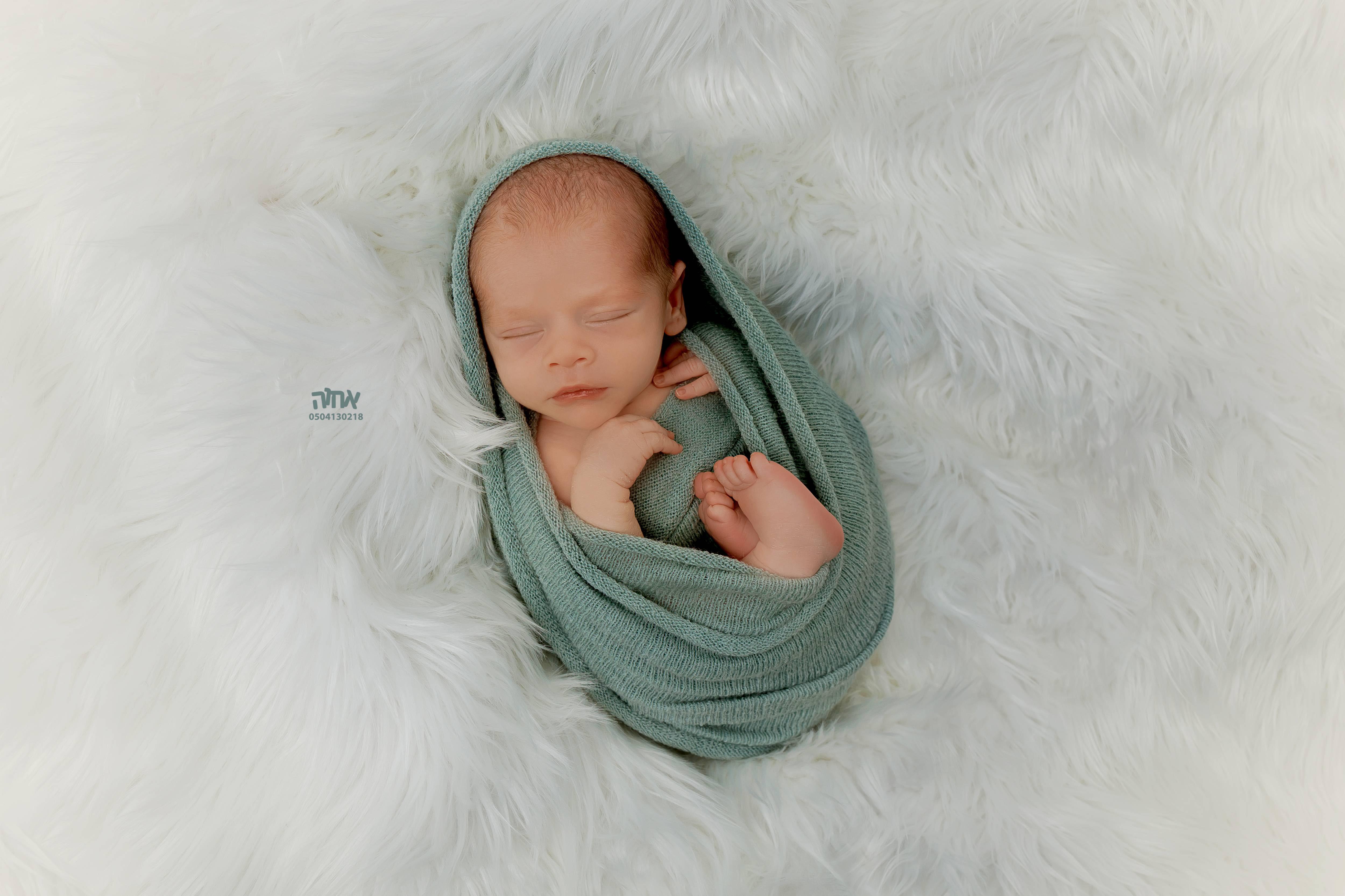 0504130218 אחו הפלוטקין (2).jpg