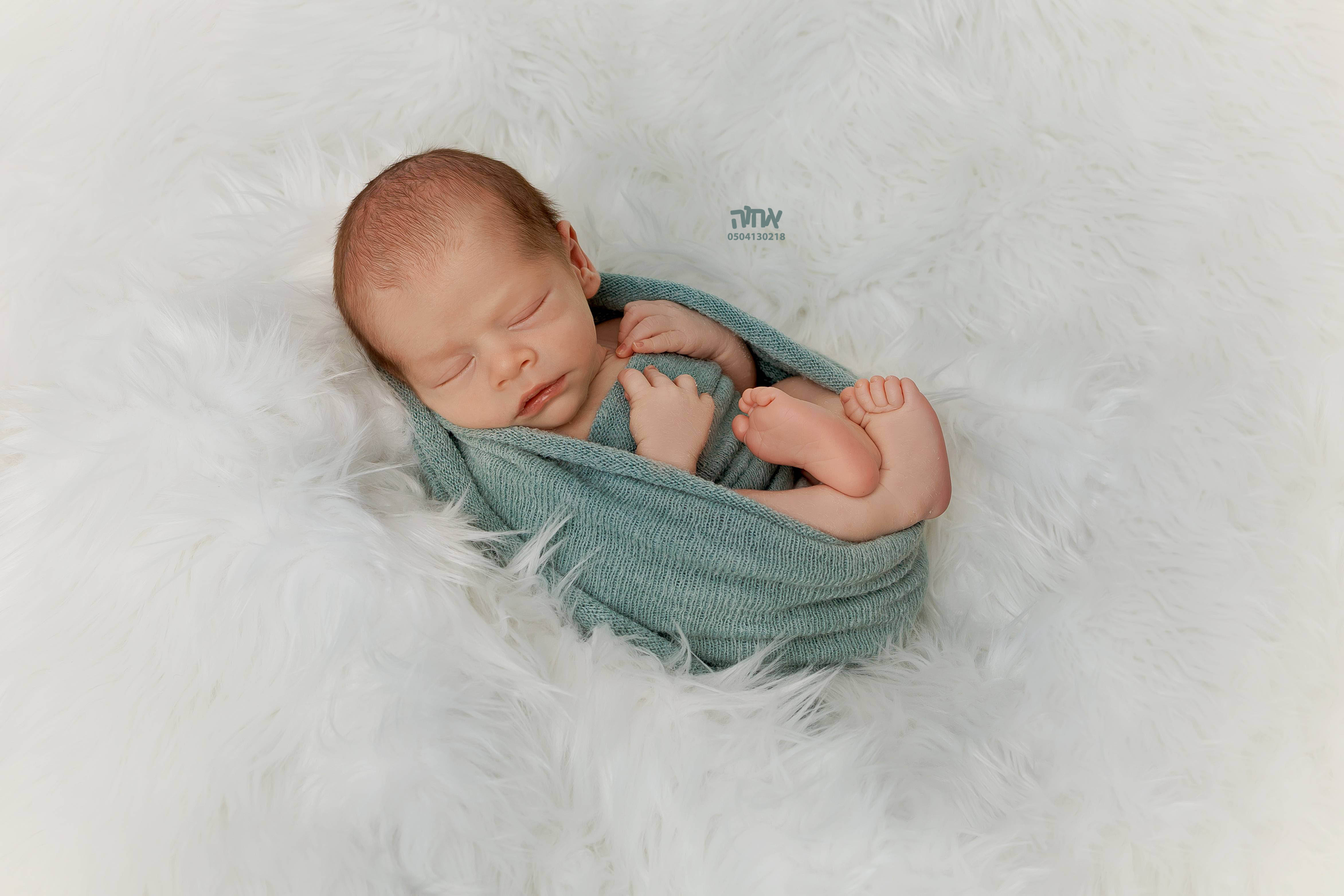 0504130218 אחו הפלוטקין (3).jpg