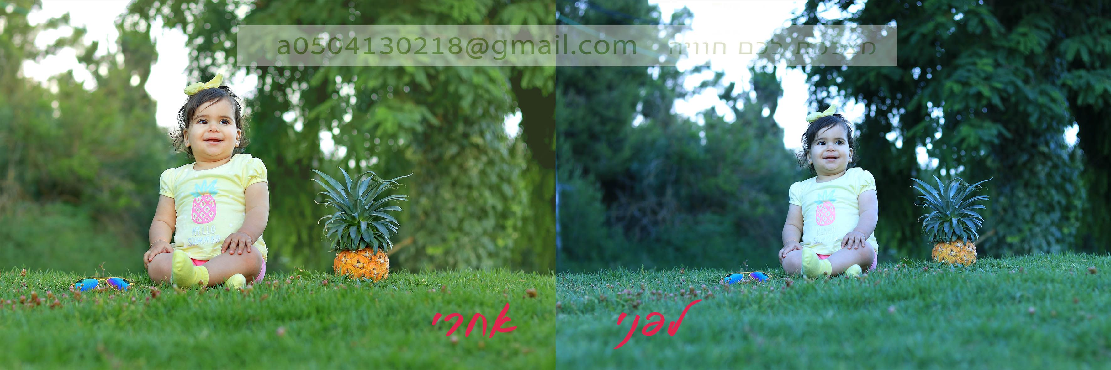 0504130218 גצפת.jpg