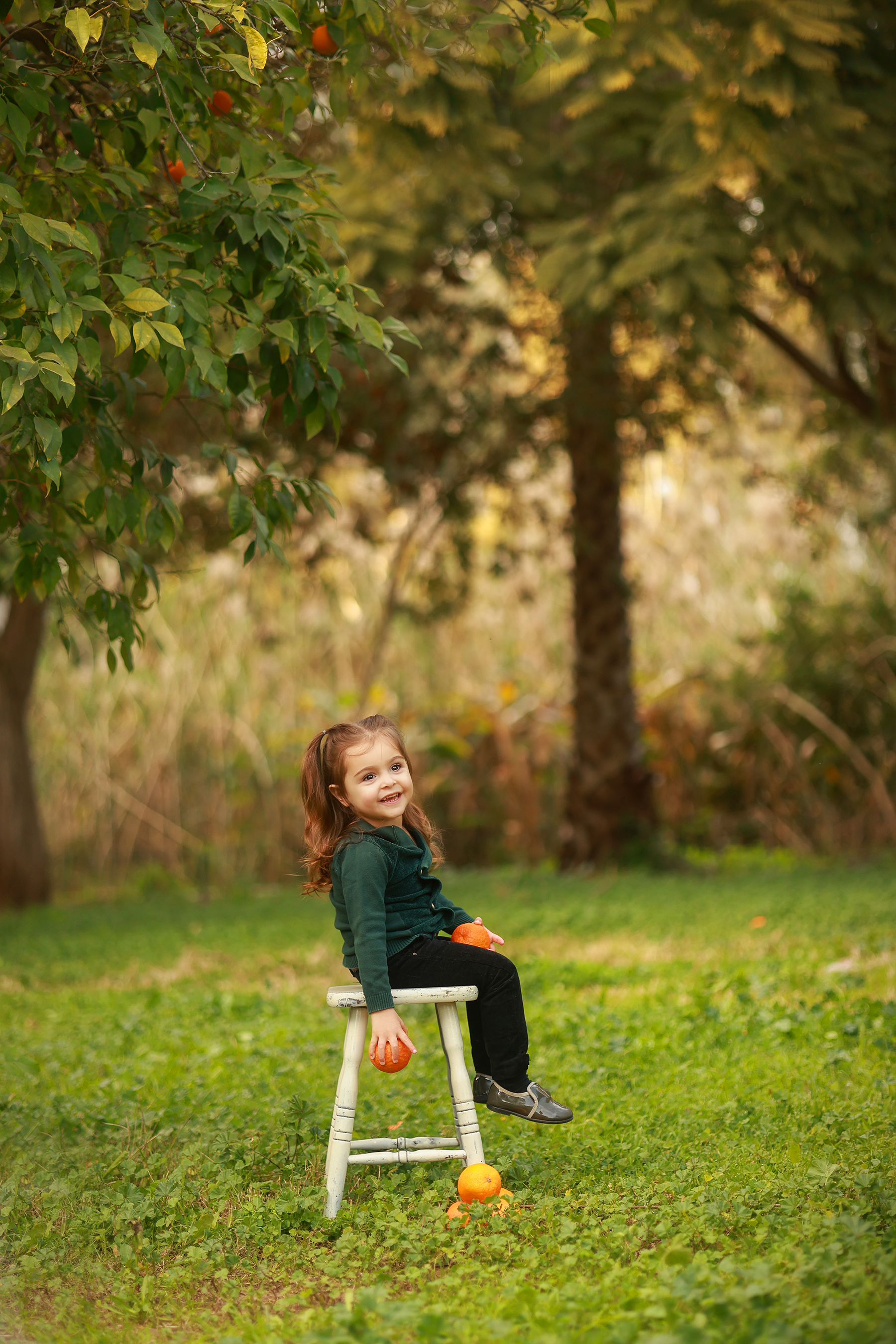 081A0519 copy 2מוקטן.jpg