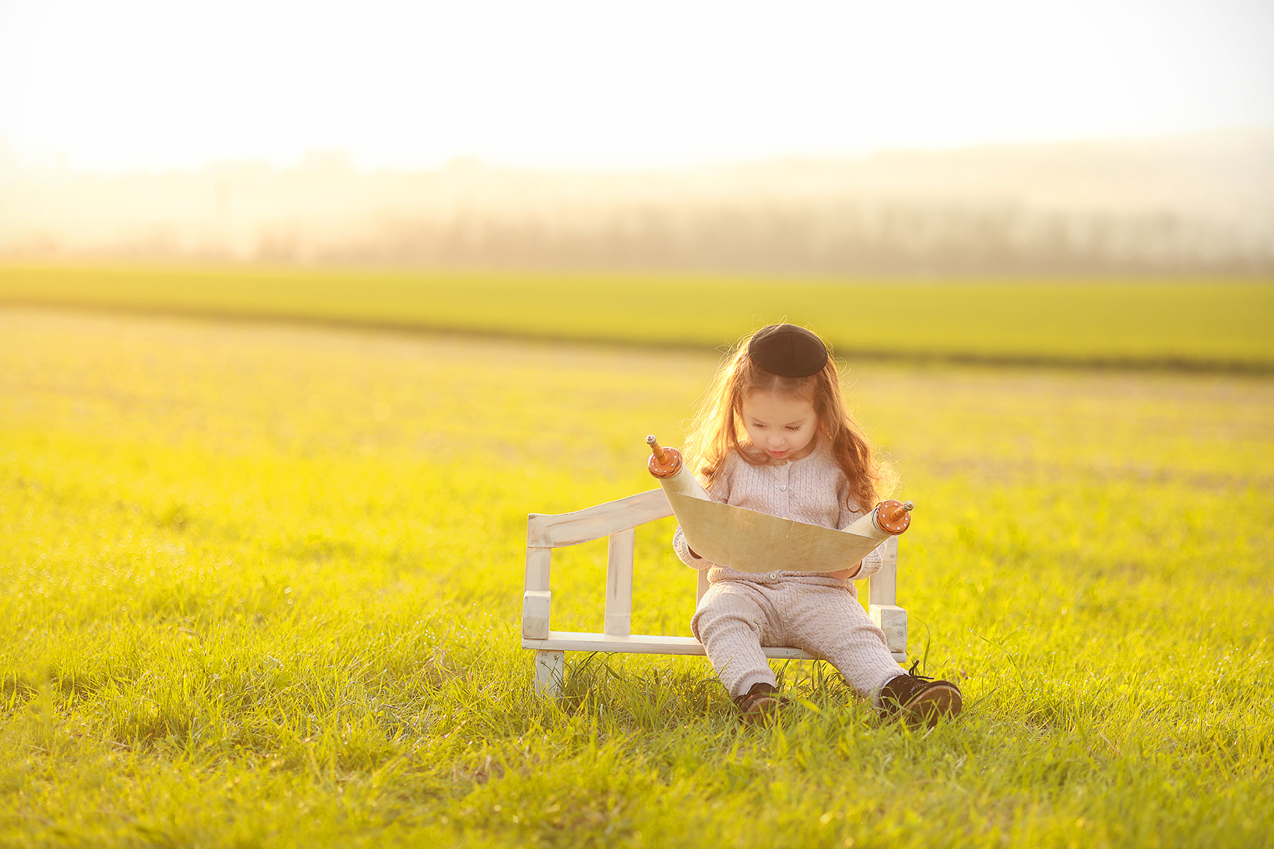 081A0534 copy 3מוקטן.jpg