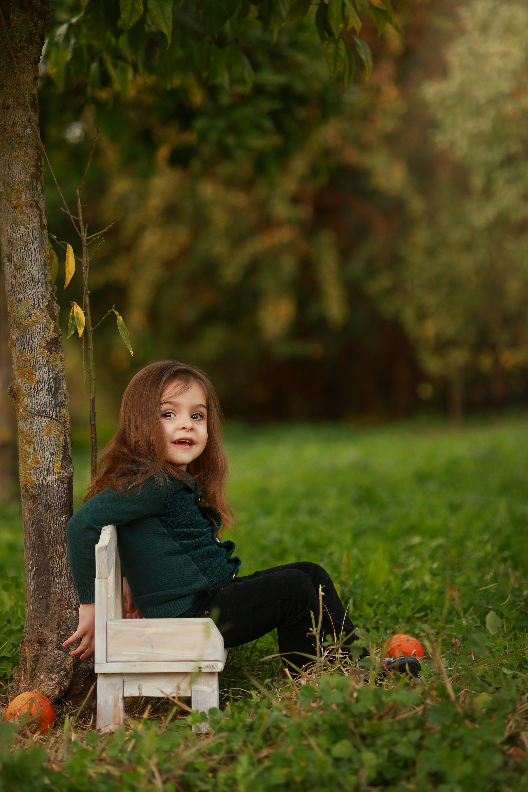 081A0957 copy 2מוקטן.jpg