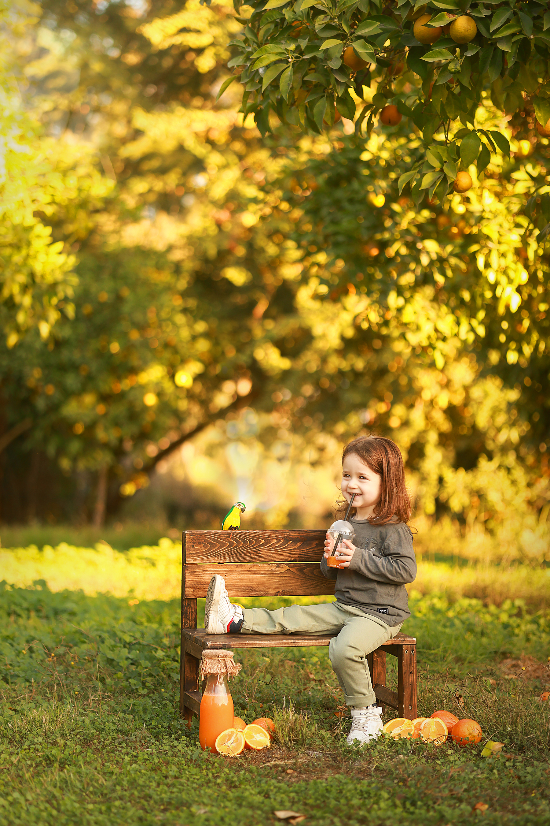 081A1188 copy 2מוקטן.jpg