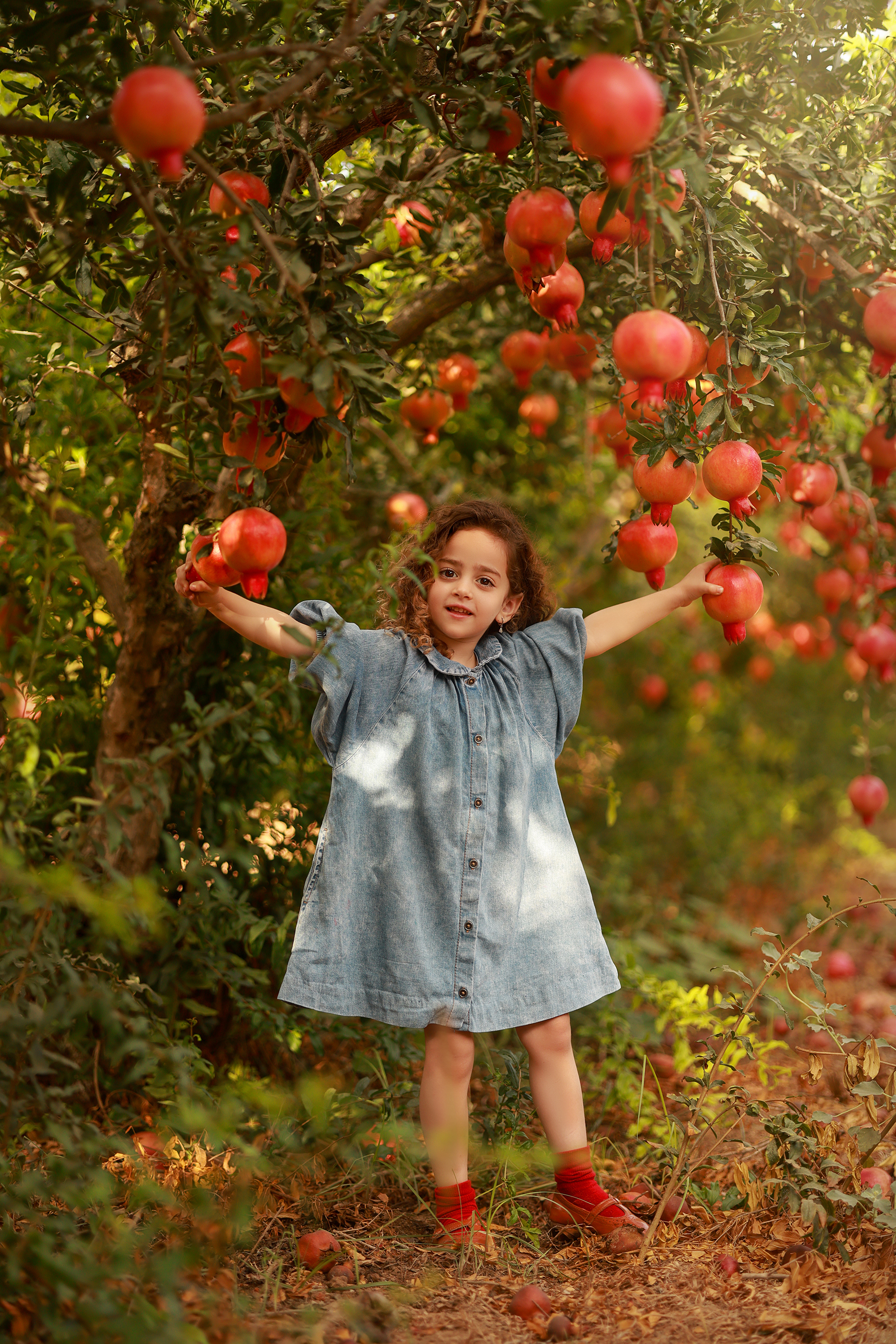 081A1206 copy 2קטן.jpg