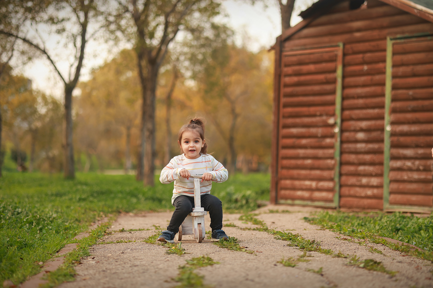 081A1294 copy 2מוקטן.jpg