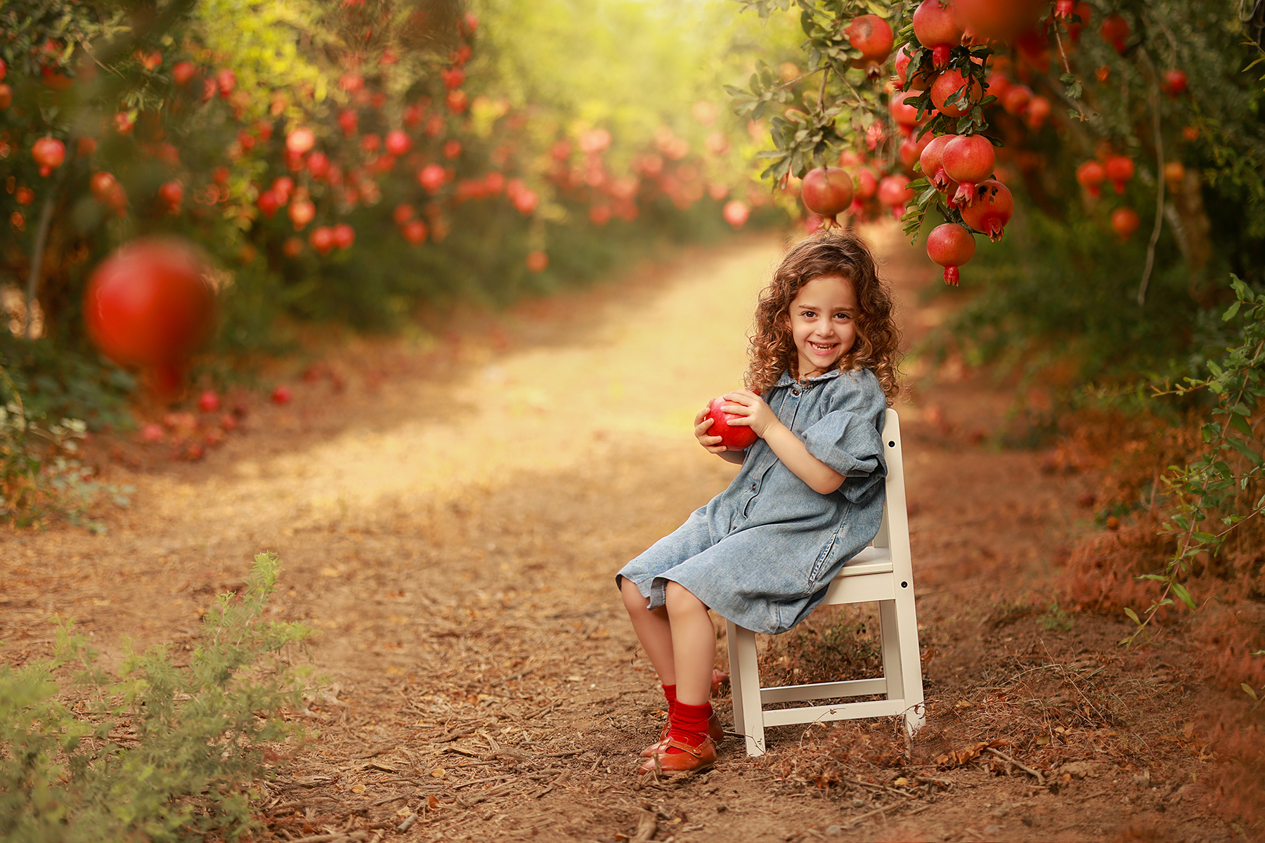 081A1394 copy 2קטן.jpg