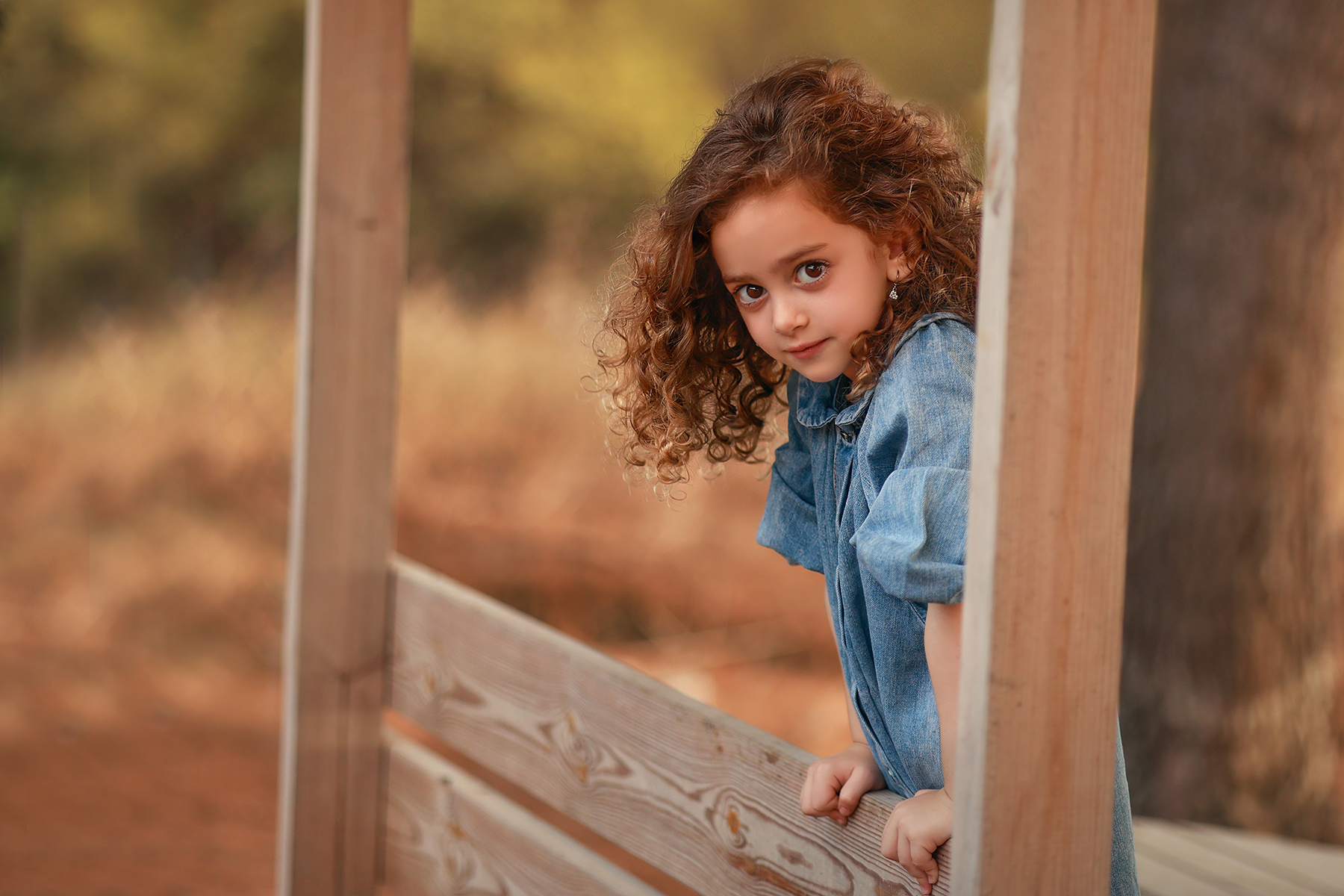 081A1798 copy 2קטן.jpg