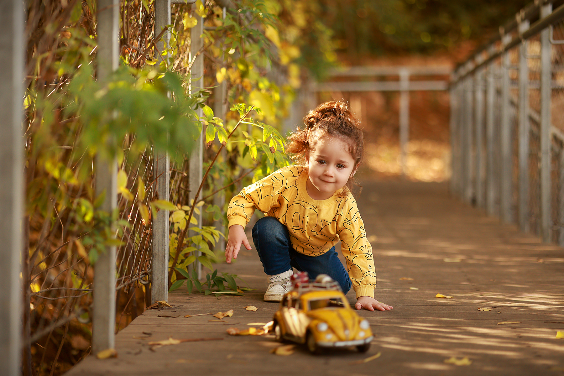 081A3256 copy 2מוקטן.jpg