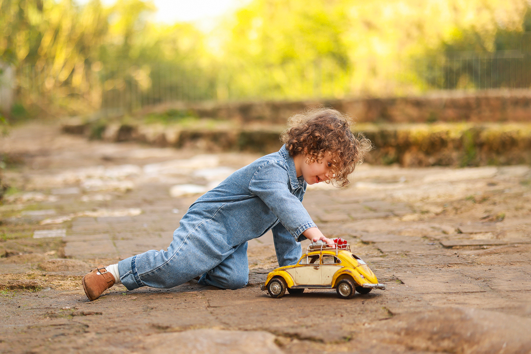 081A3666 copy 2מוקטן.jpg