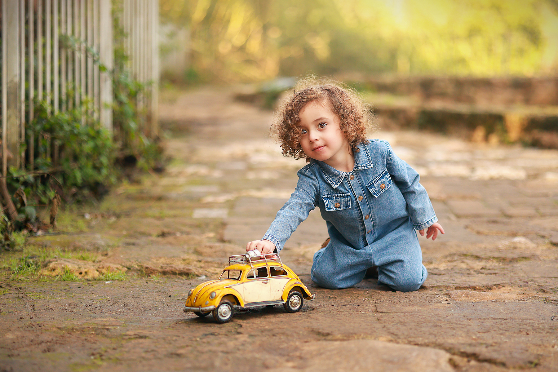 081A3688 copy 2מוקטן.jpg