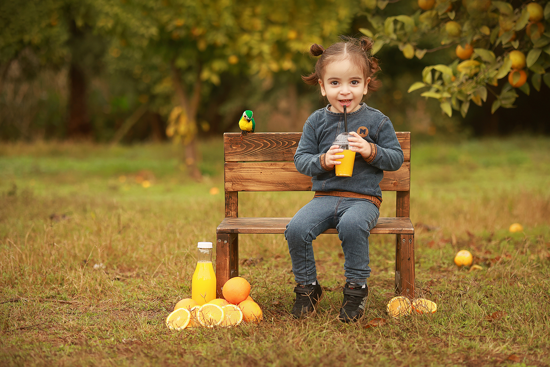 081A3831 copy 2מוקטן.jpg