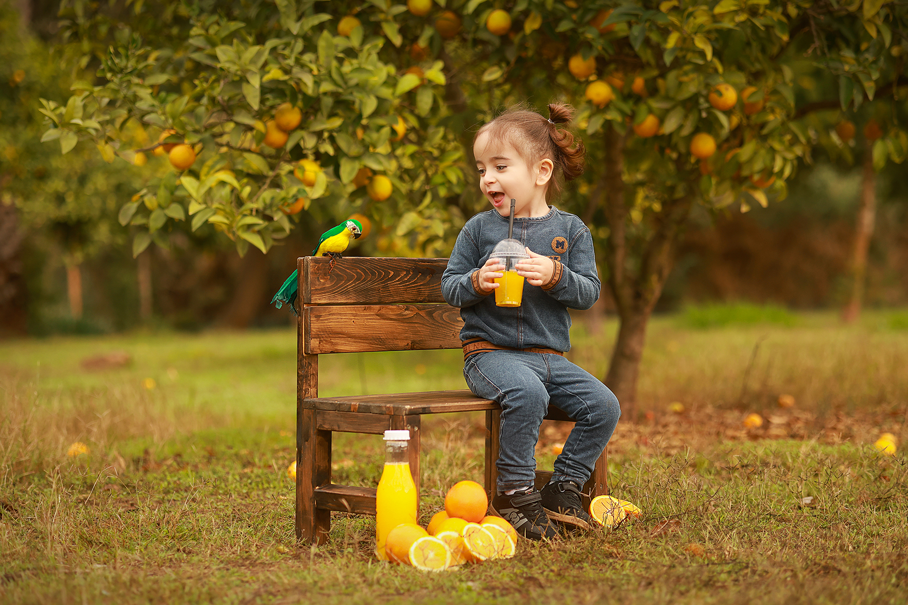 081A3877 copy 2מוקטן.jpg