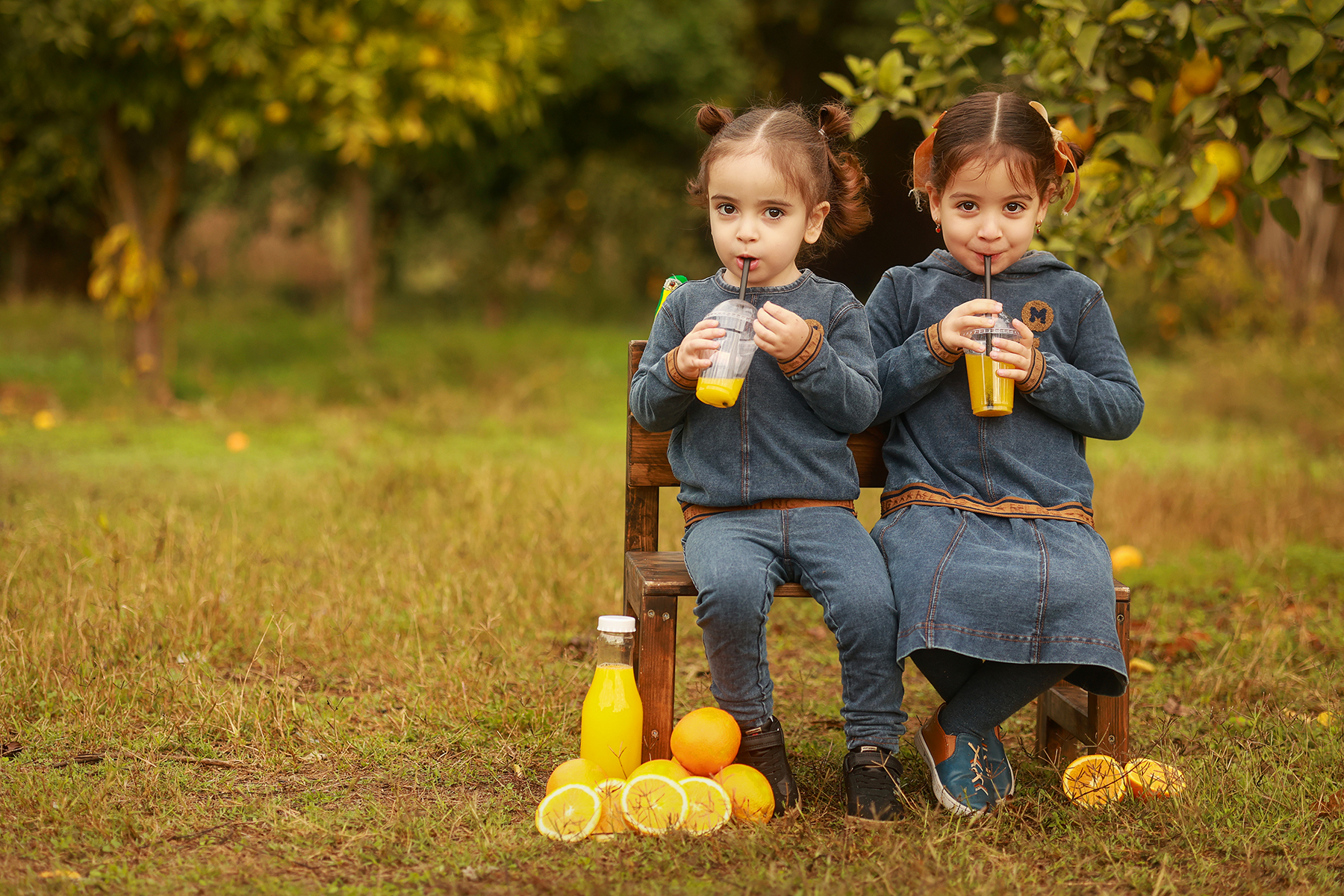 081A3937 copy 2מוקטן.jpg