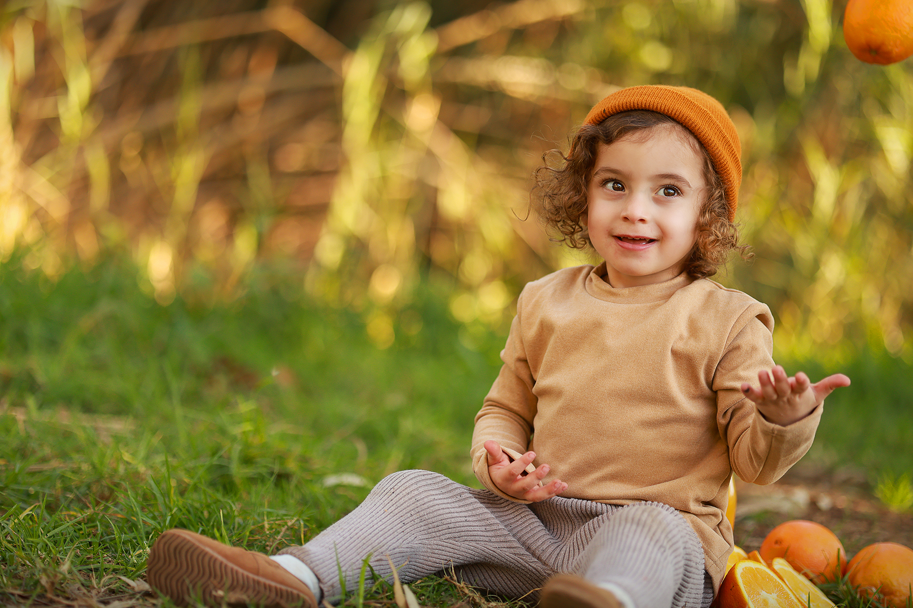 081A4854 copy 2מוקטן.jpg