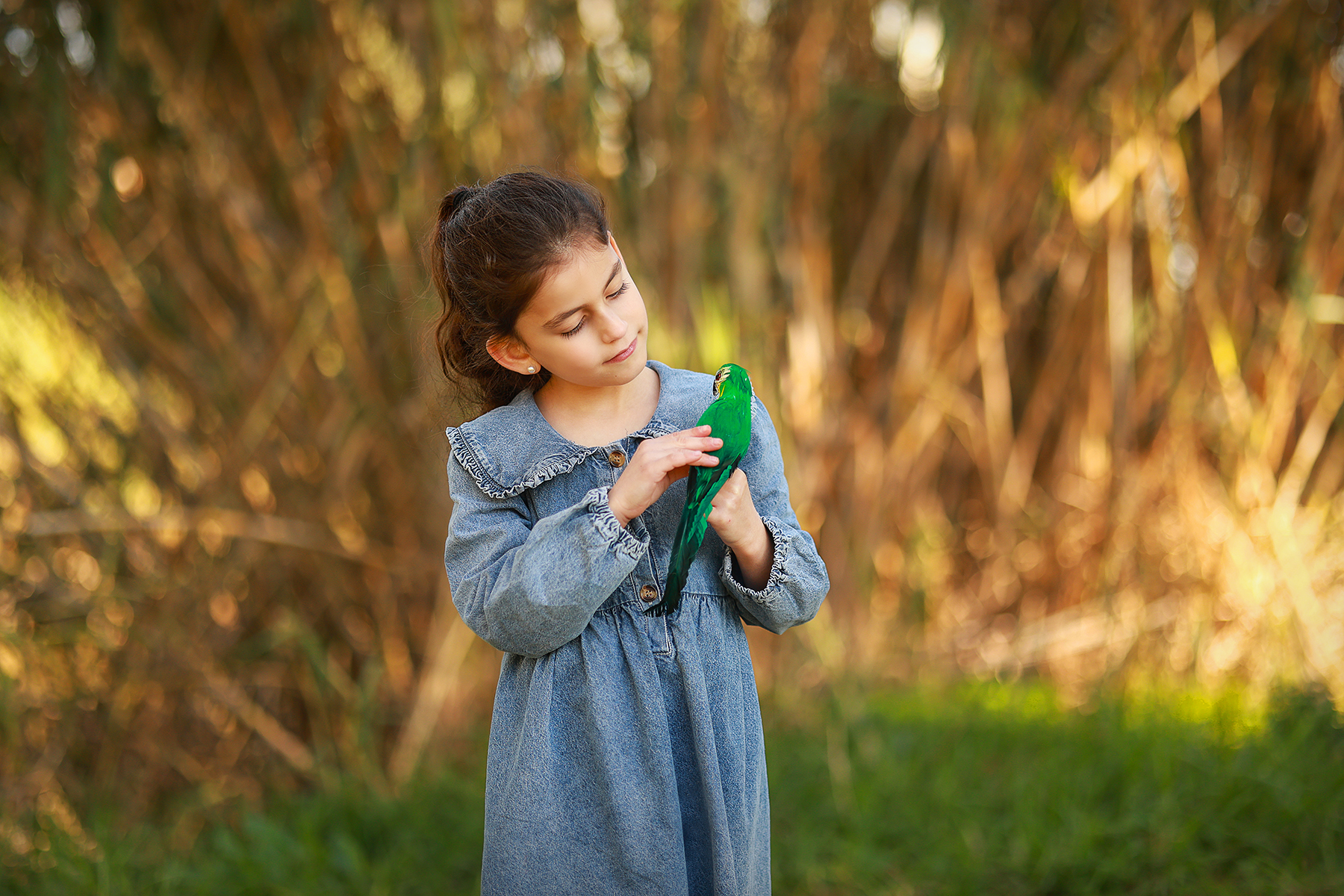 081A4991 copyבאמצע copy 2מוקטן.jpg