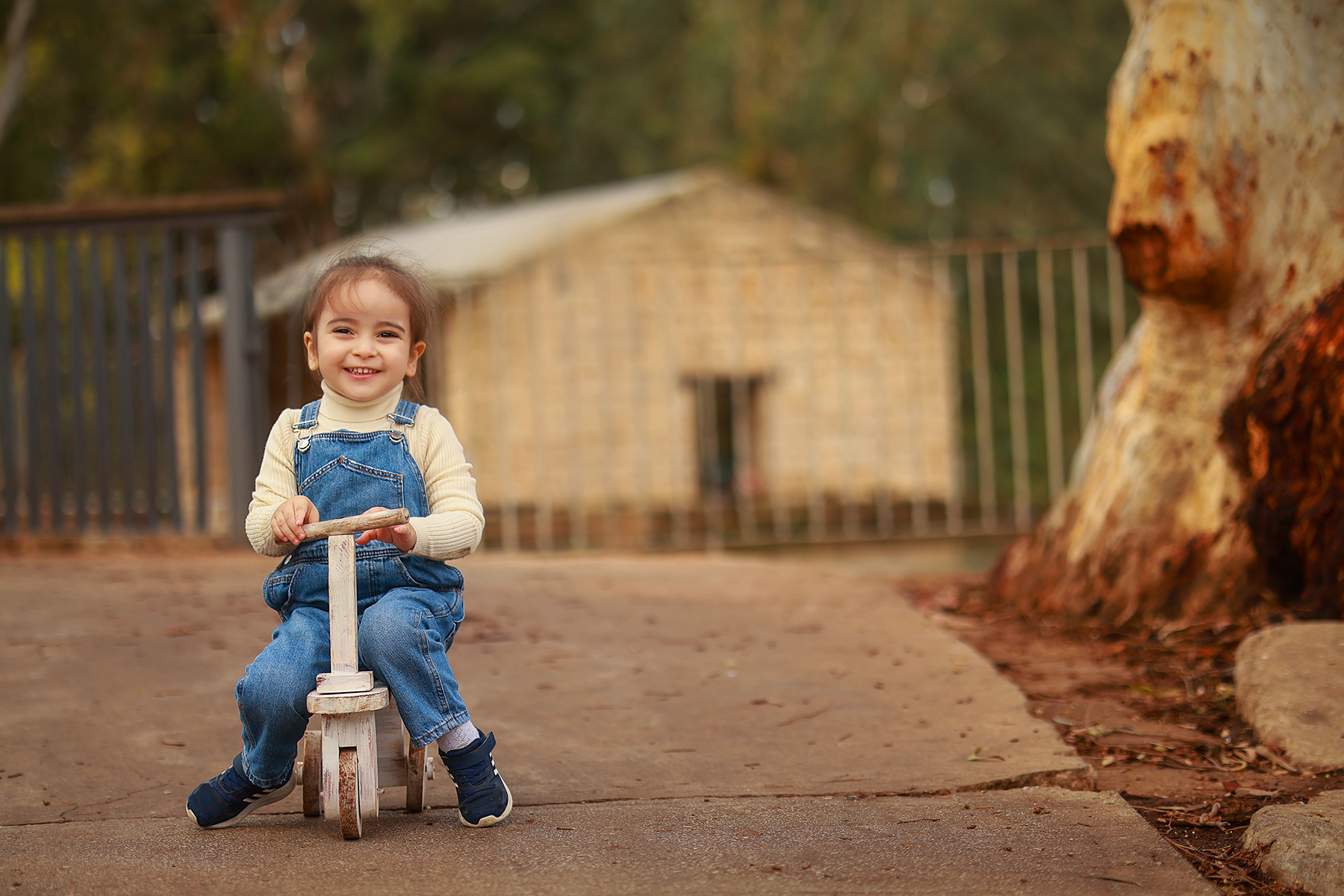 081A5987 copy 2מוקטן.jpg