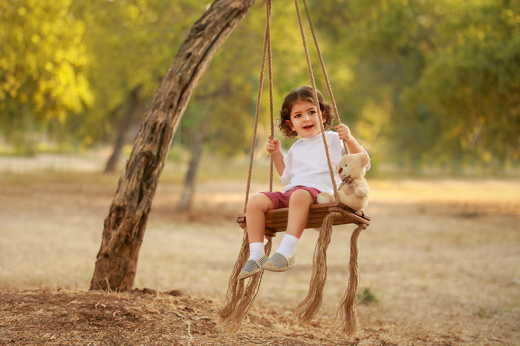 081A6131 copy 2קטן.jpg