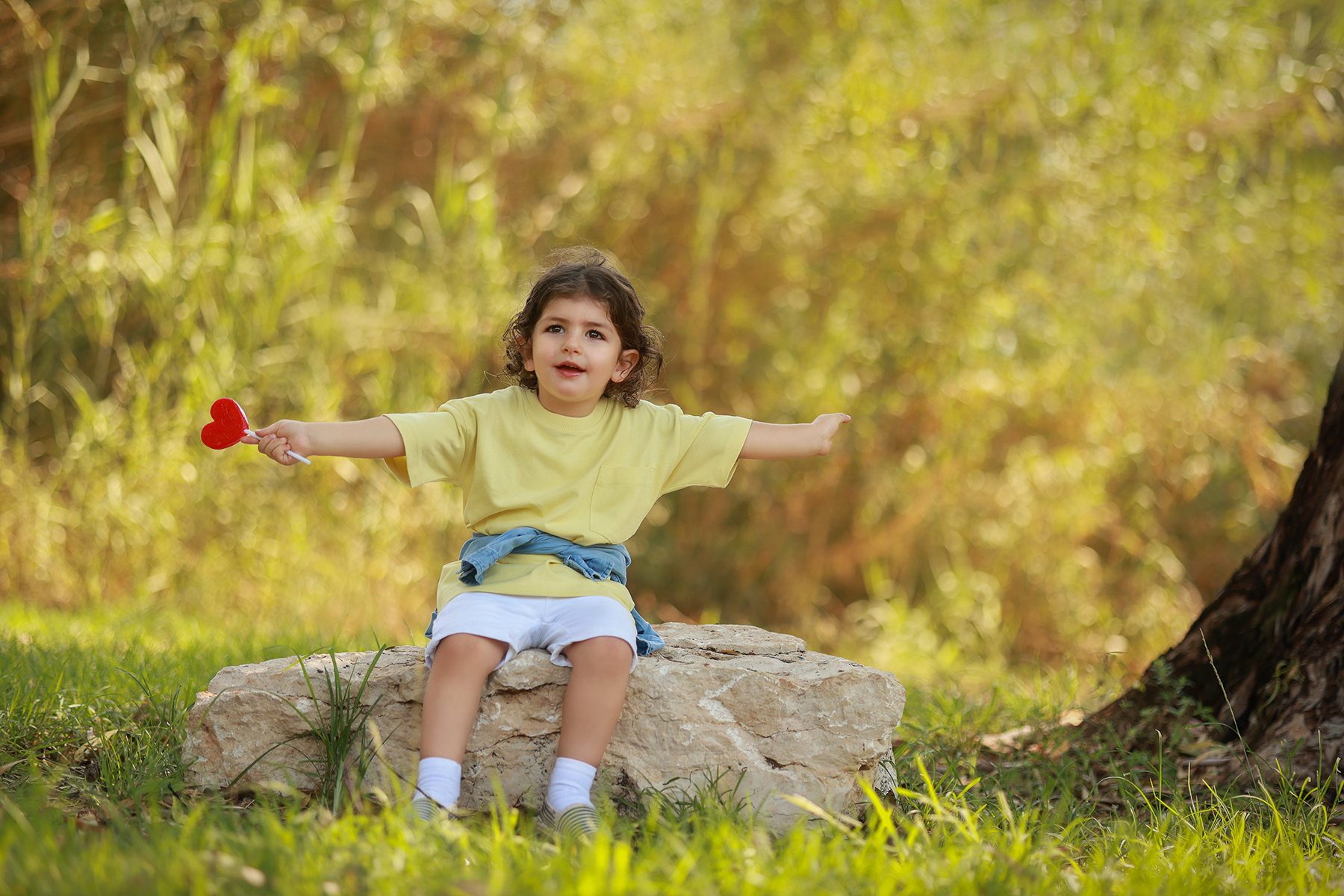 081A8891 copy 2קטן.jpg