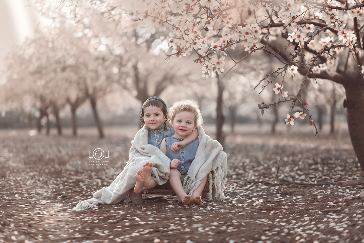 0A6A6272 מעובד 2 מוקטן.jpg