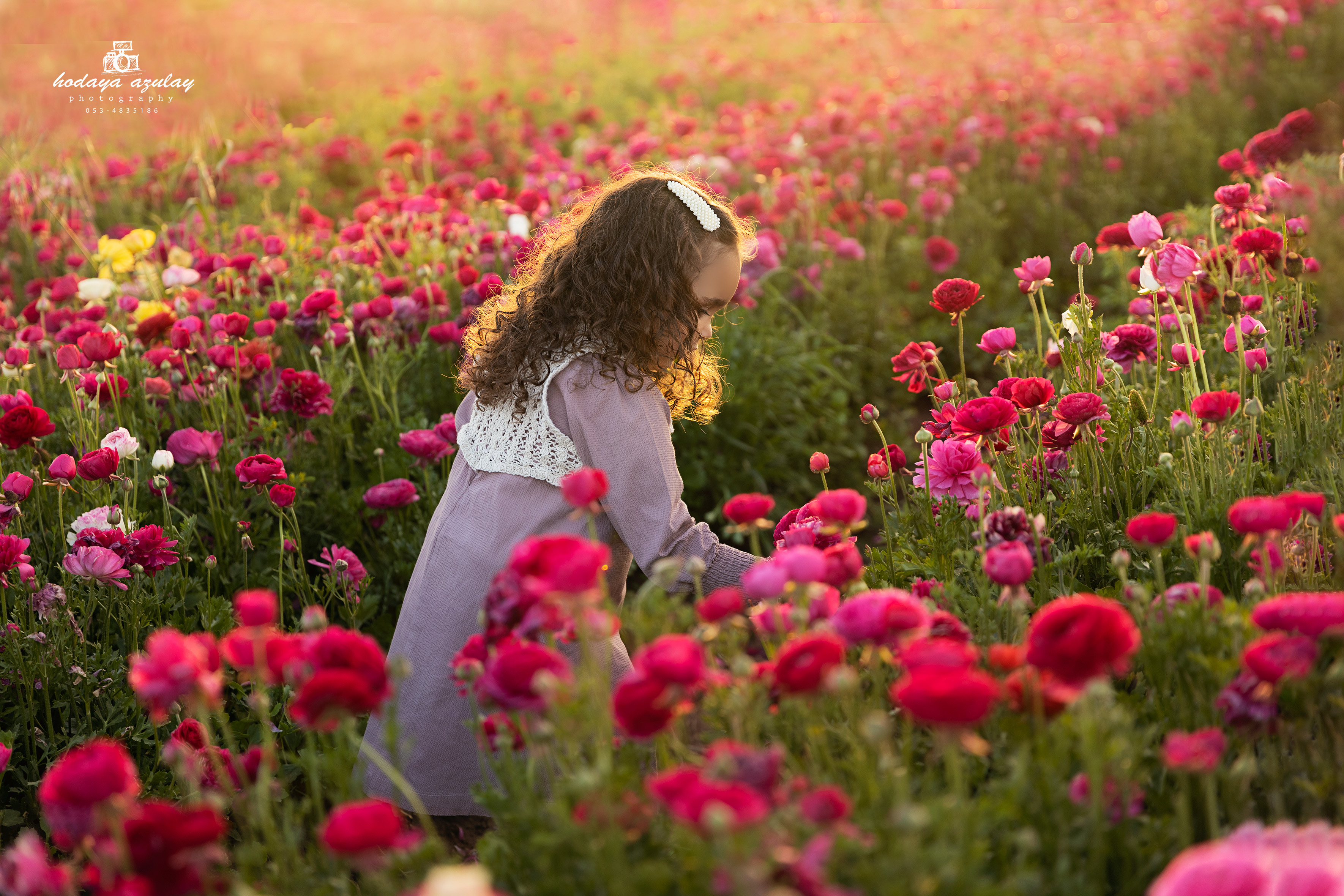 0C5A9946 לוגו.jpg