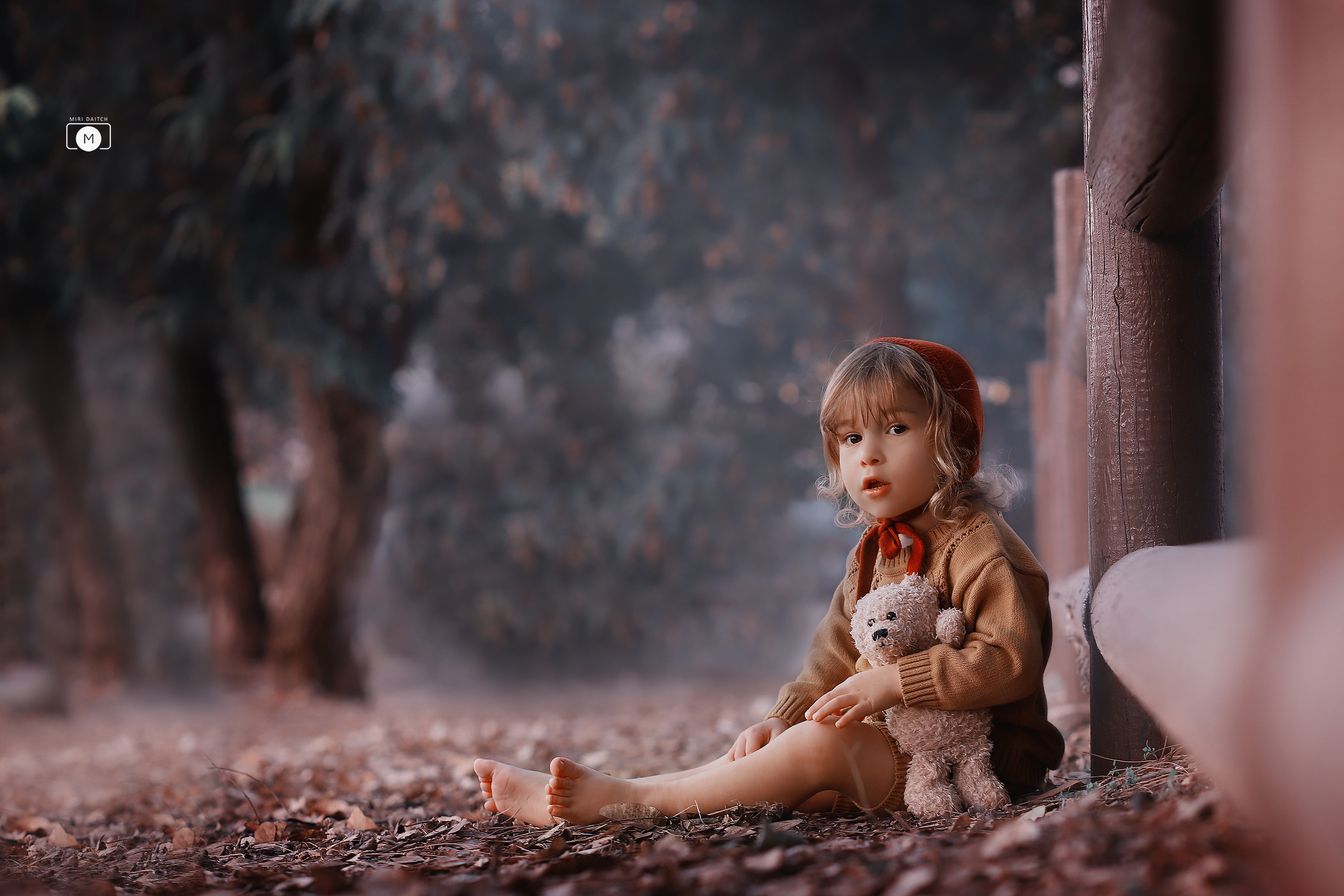 1מירי דייטש-.jpg