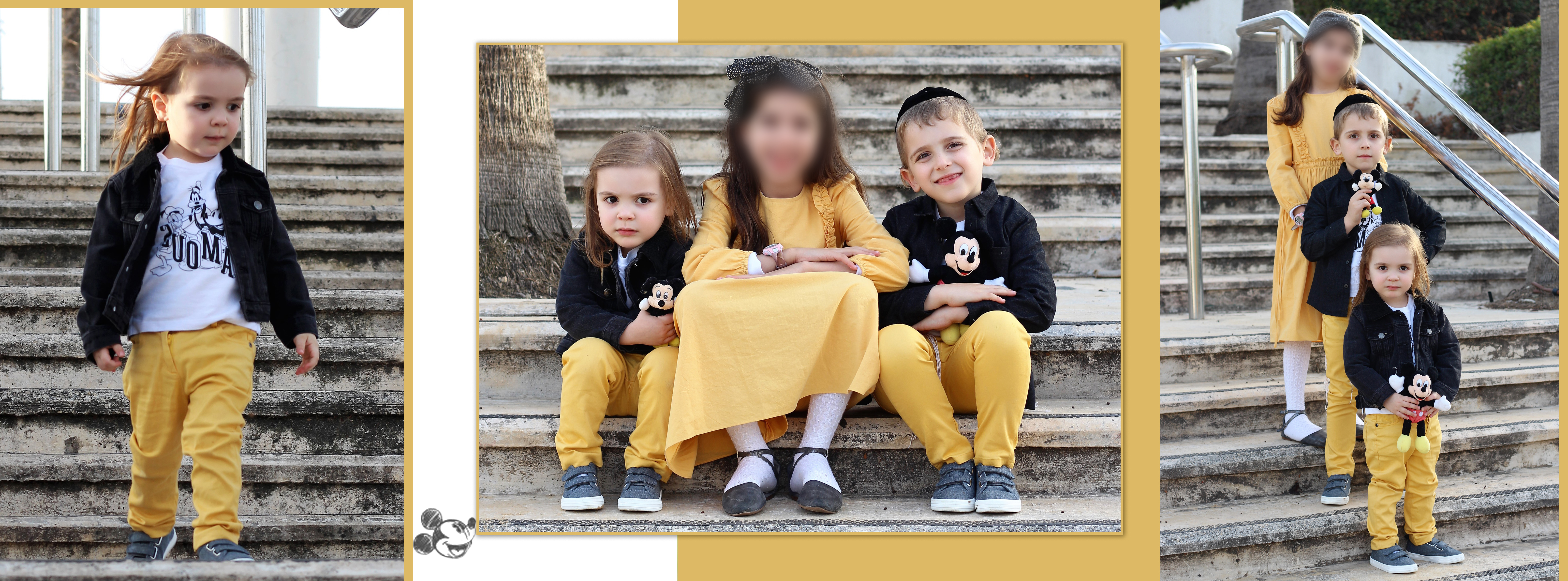 10 אלבום דיגיטלי לדוגמא -חלקה