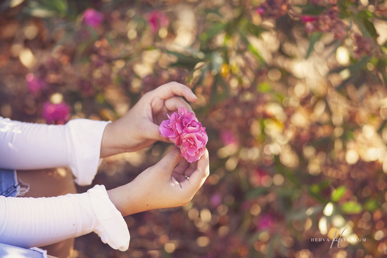 ~ (101).jpg עובד.jpg