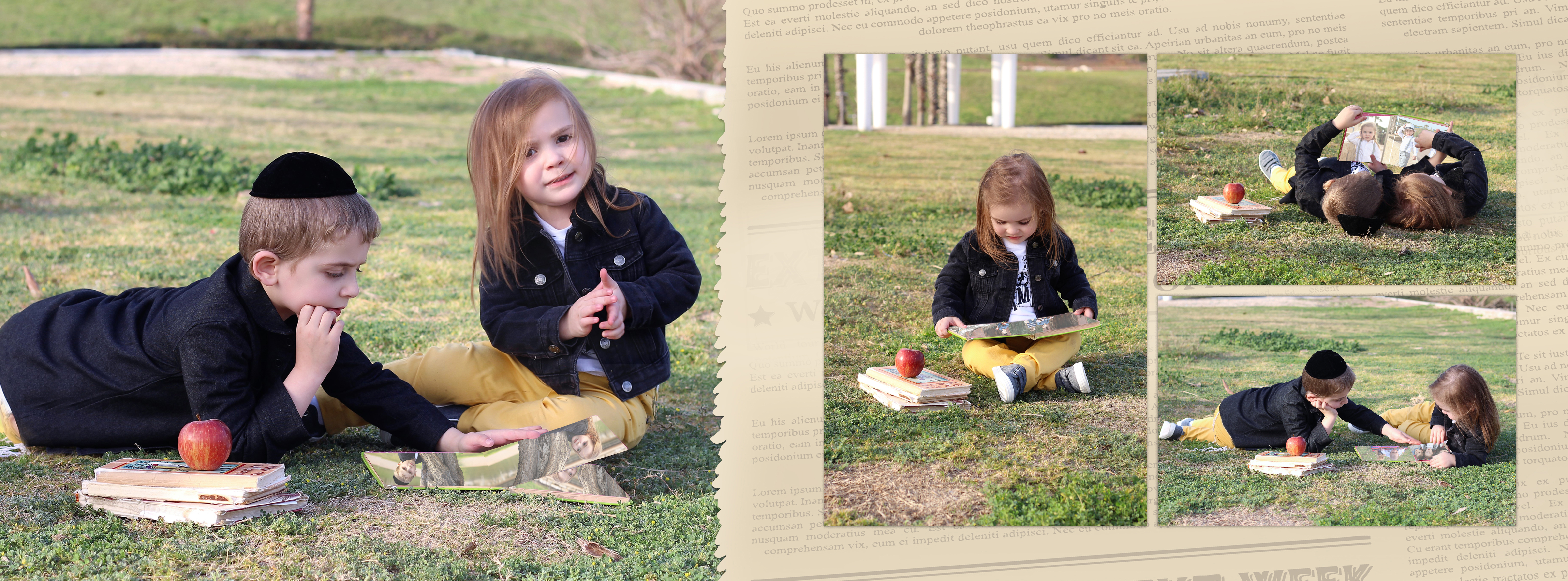 11 אלבום דיגיטלי לדוגמא -חלקה