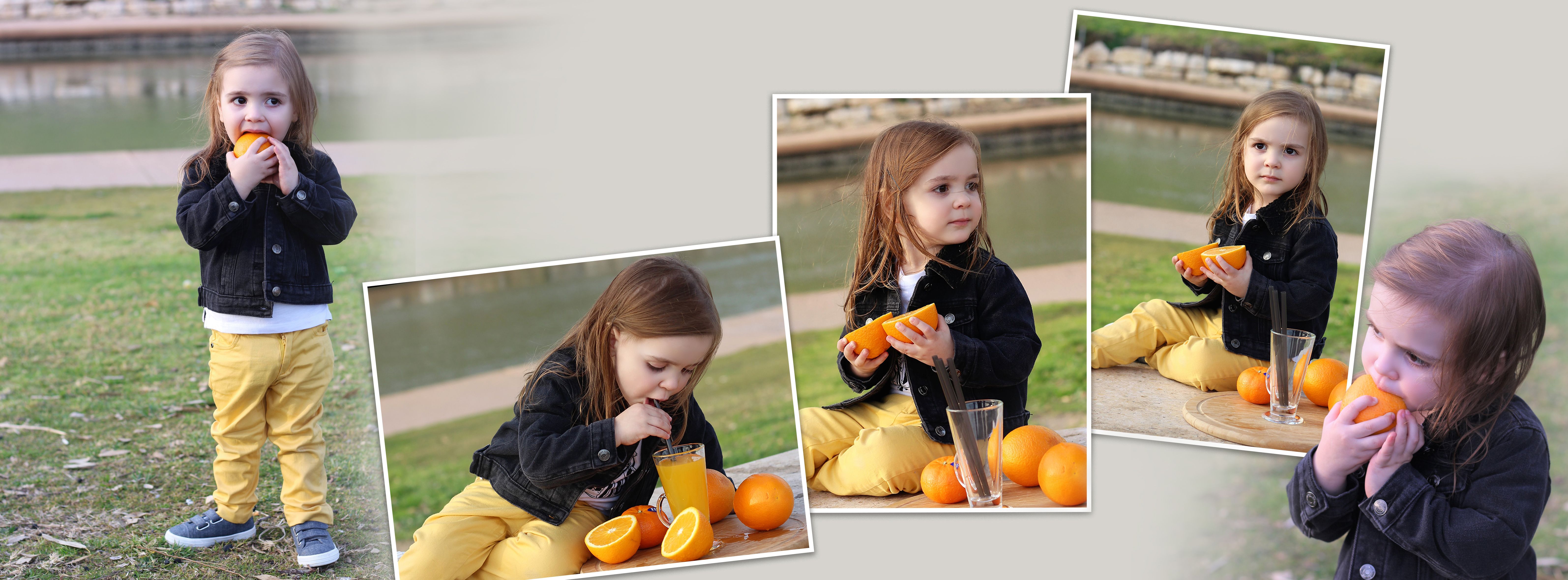 12 אלבום דיגיטלי לדוגמא -חלקה