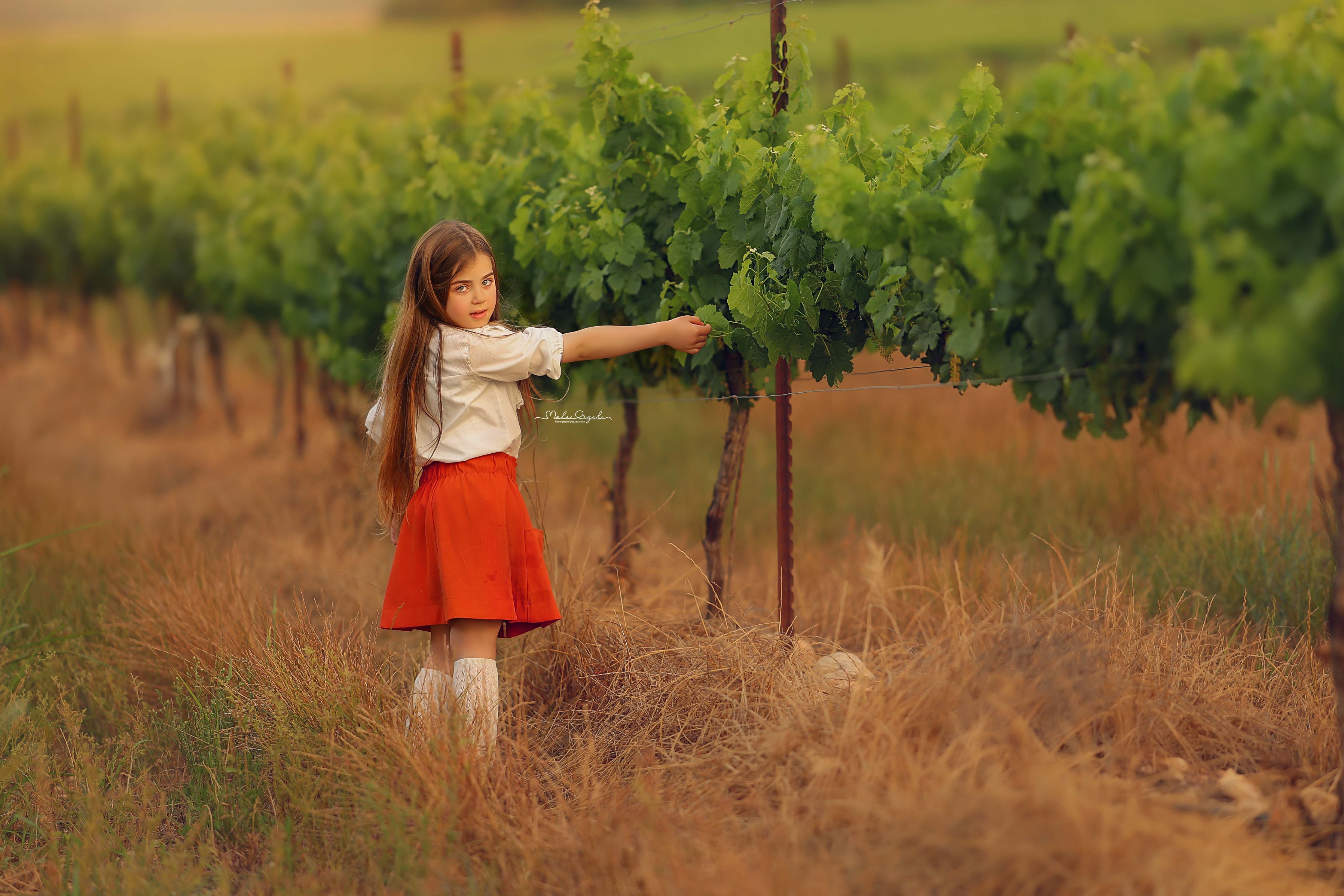 13 מלי 0533104506.jpg