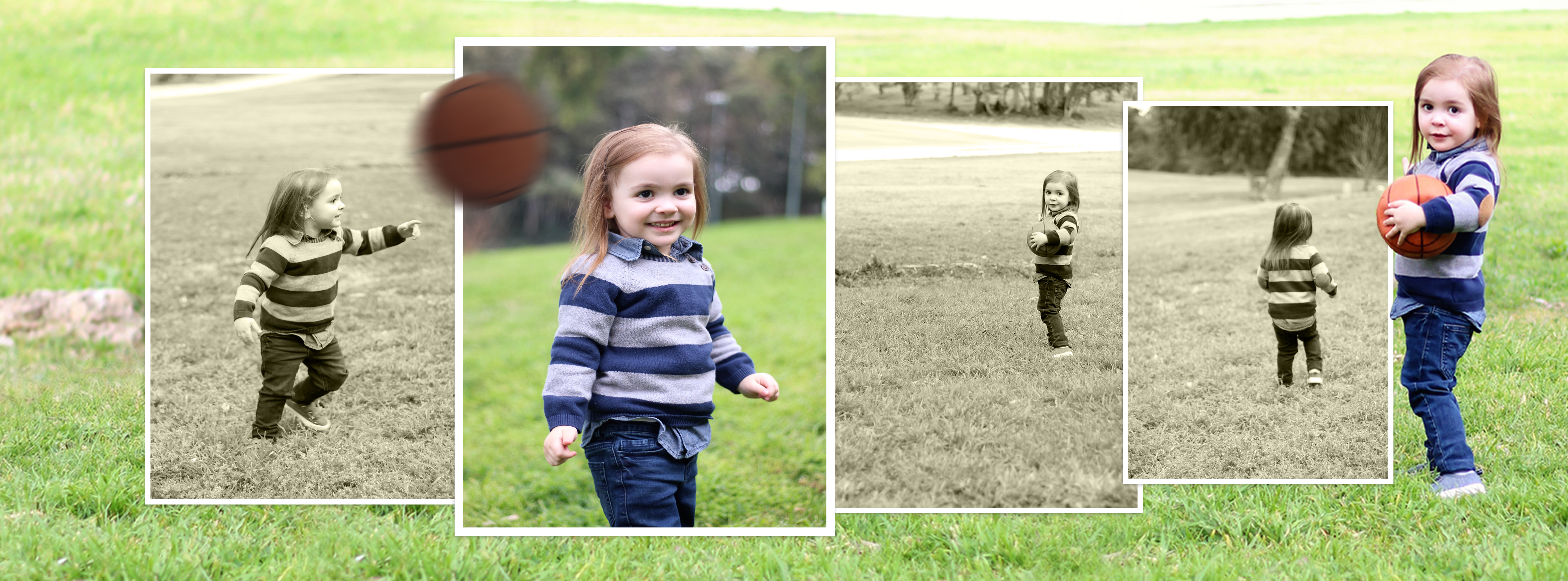 14 אלבום דיגיטלי לדוגמא -חלקה