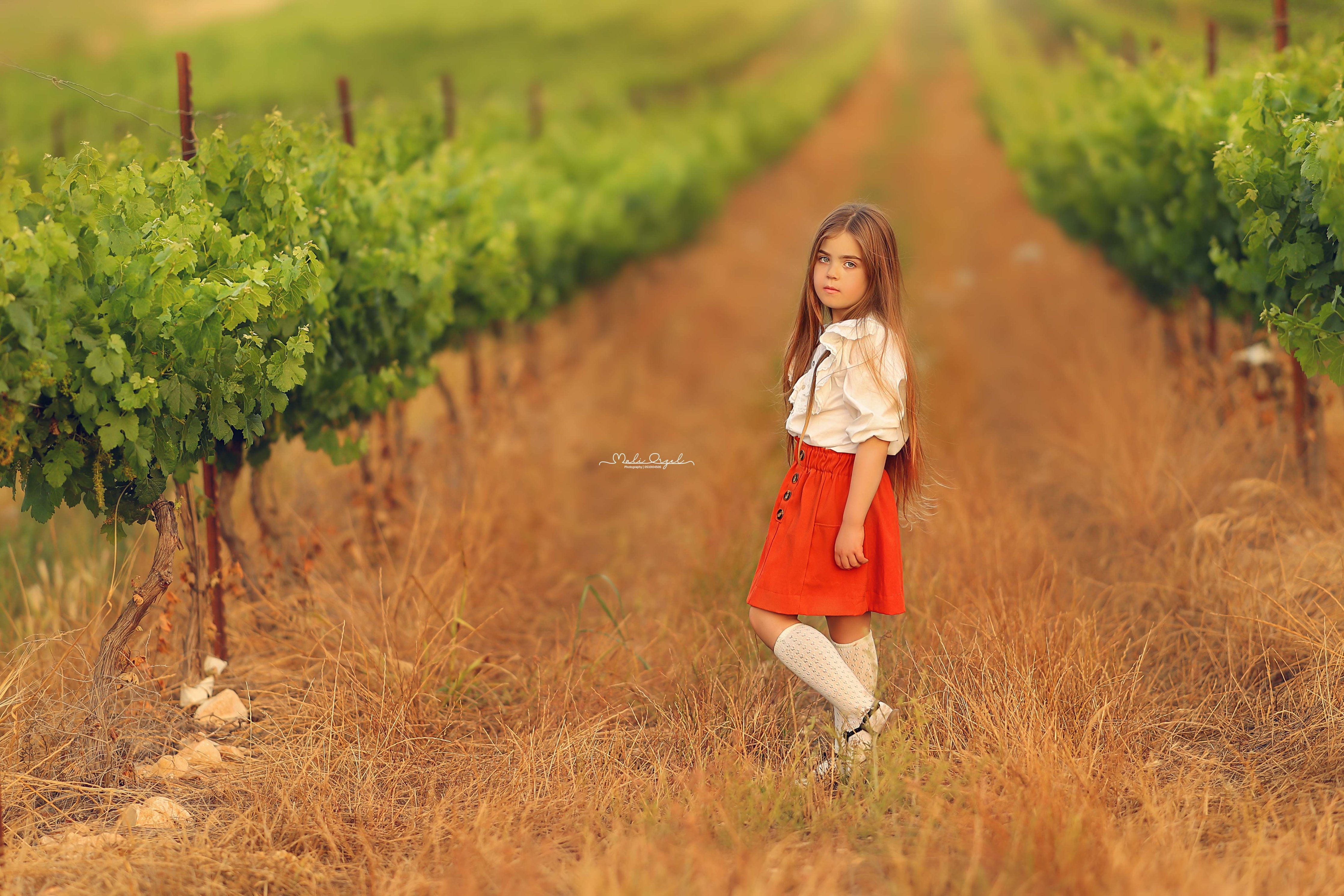 14 מלי 0533104506.jpg