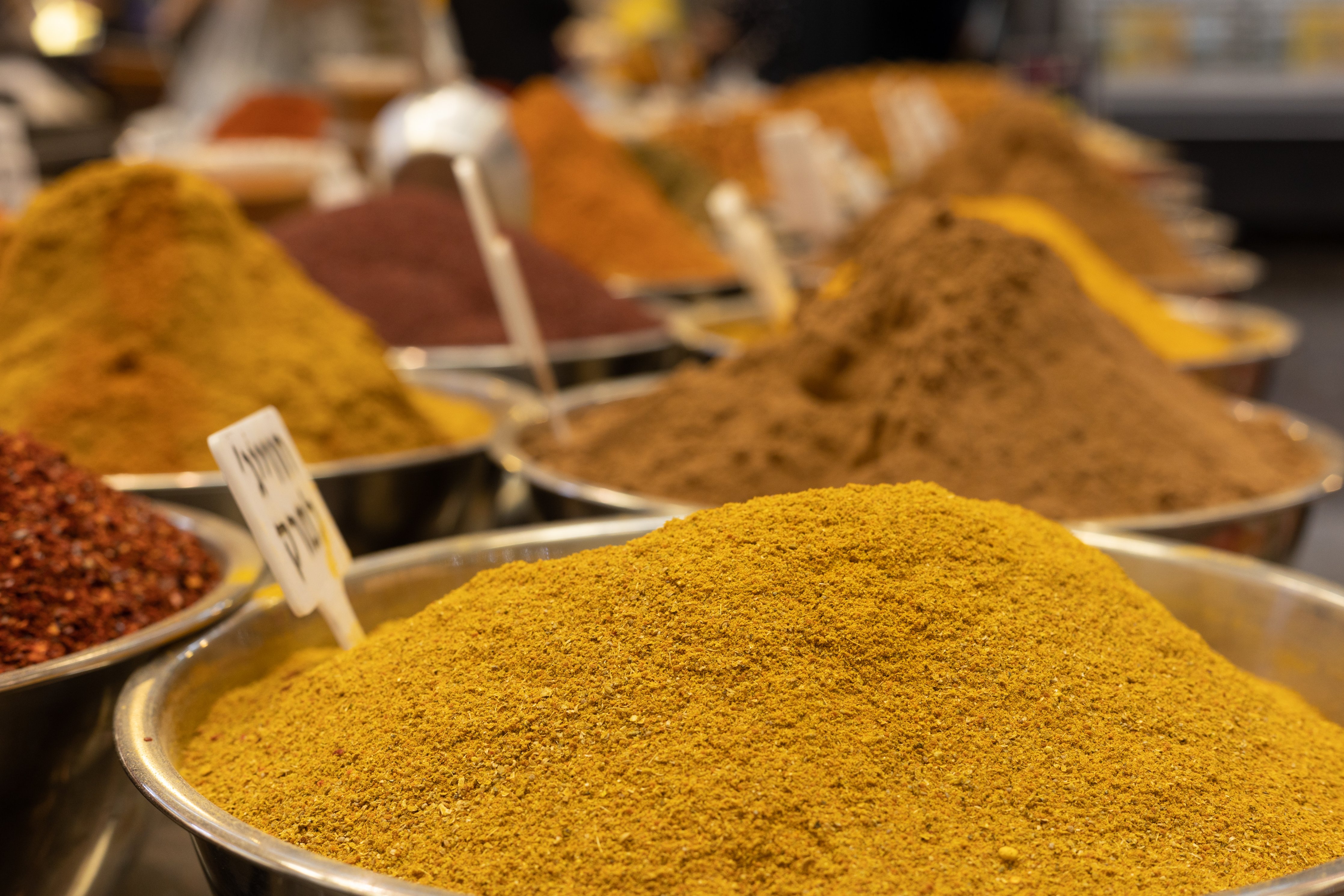 15שירה אהרוני צילום מקצועי.jpg