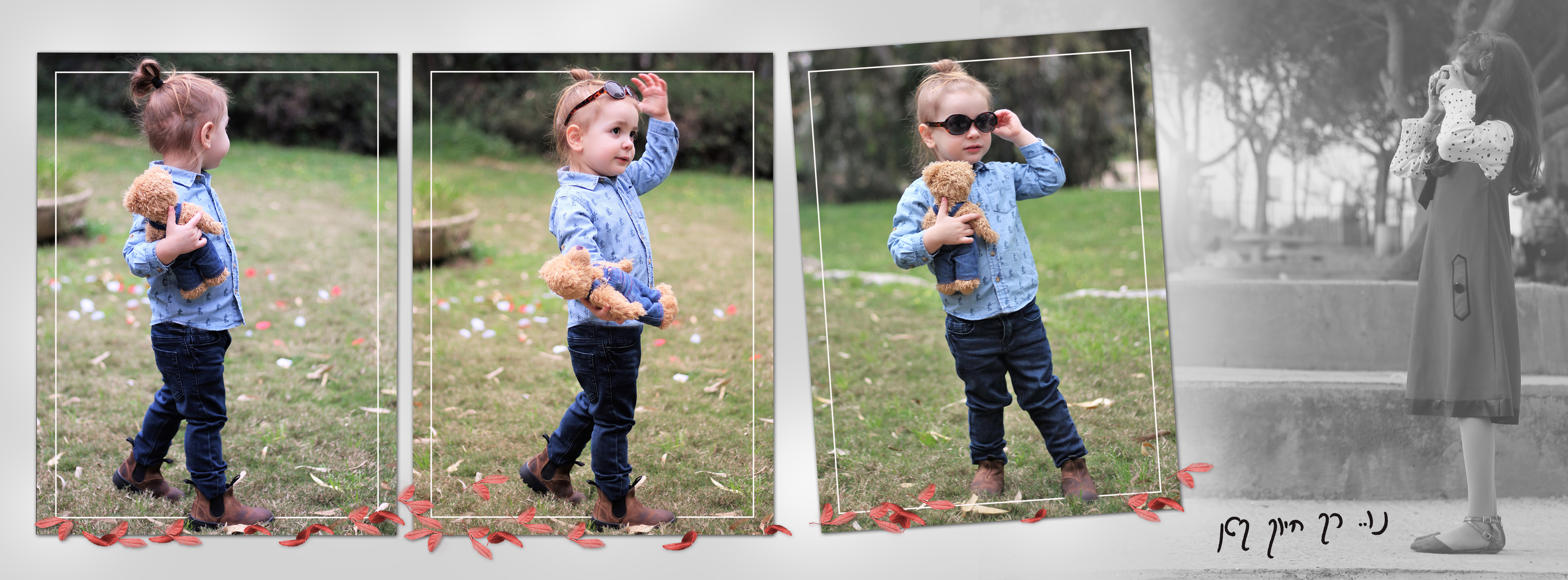 15 אלבום דיגיטלי לדוגמא -חלקה