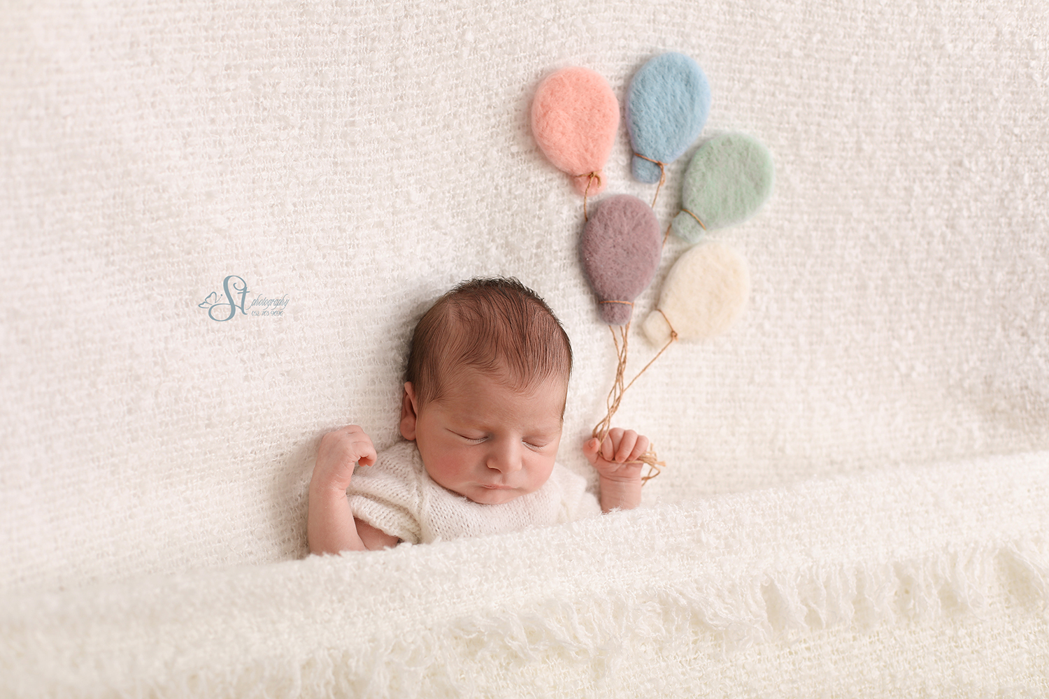 1X4A6817small copy.jpg