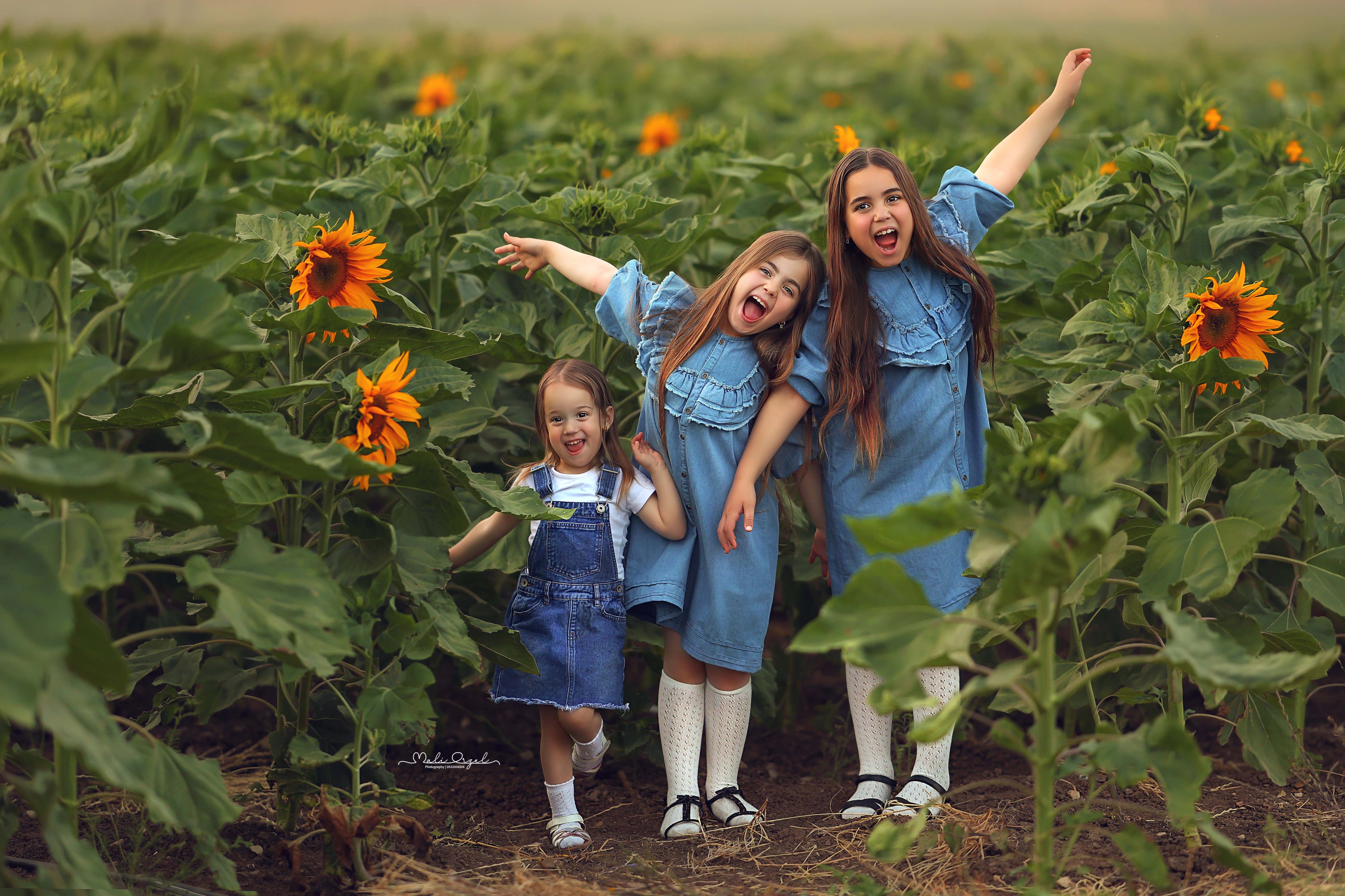 2 מלי 0533104506.jpg