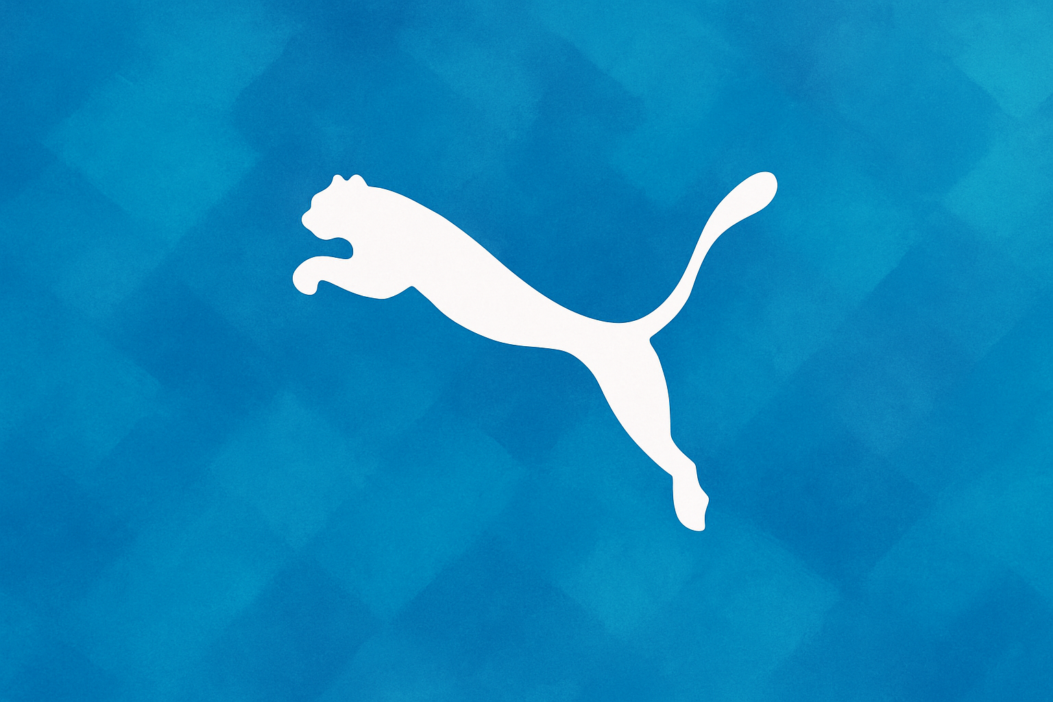 20250901_2200_רקע כחול מותג פומה_simple_compose_01k43ad9jqfcabv3nbak3f4wan.png