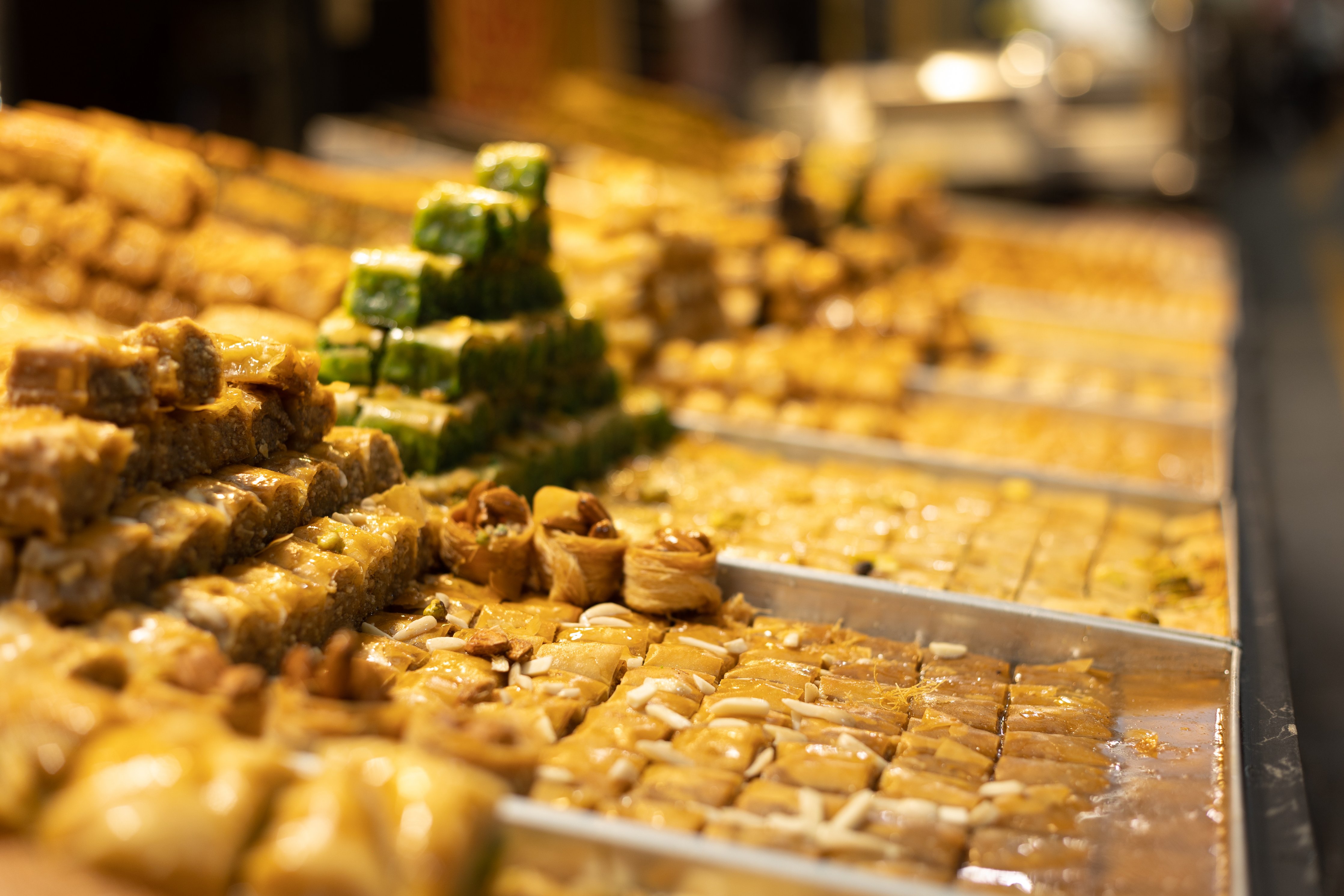 22שירה אהרוני צילום מקצועי.jpg