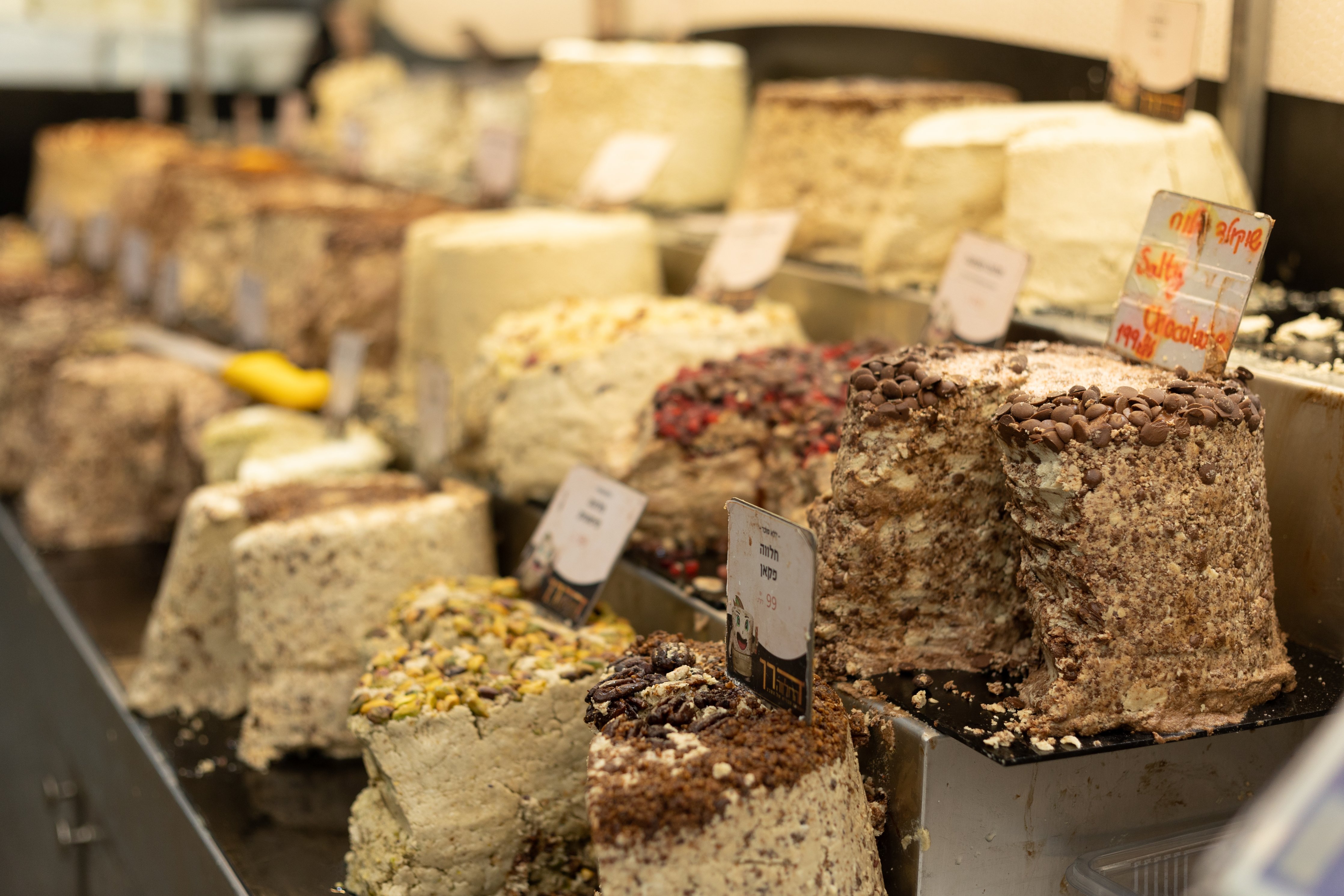 23שירה אהרוני צילום מקצועי.jpg